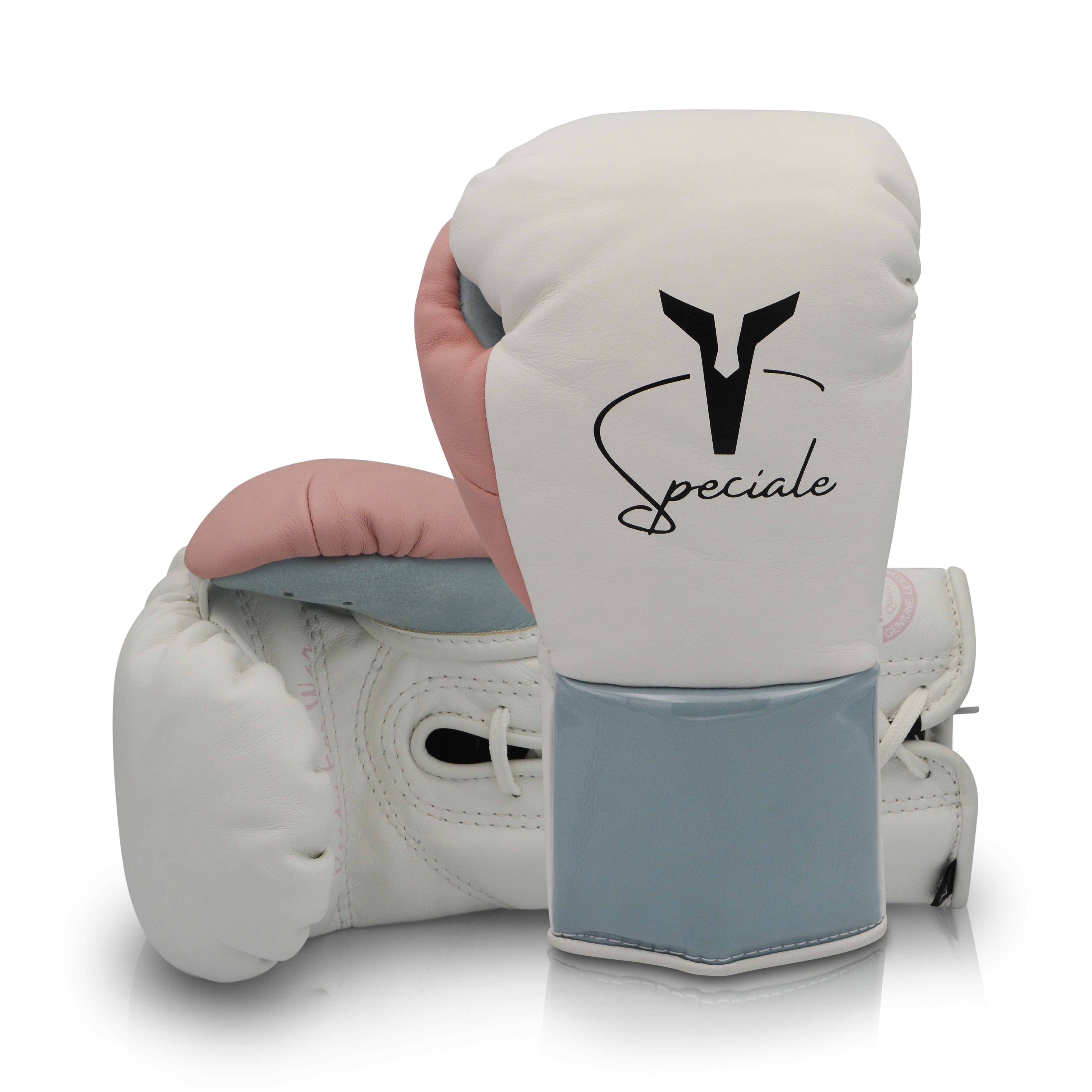 Ares Speciale Boxing Glove