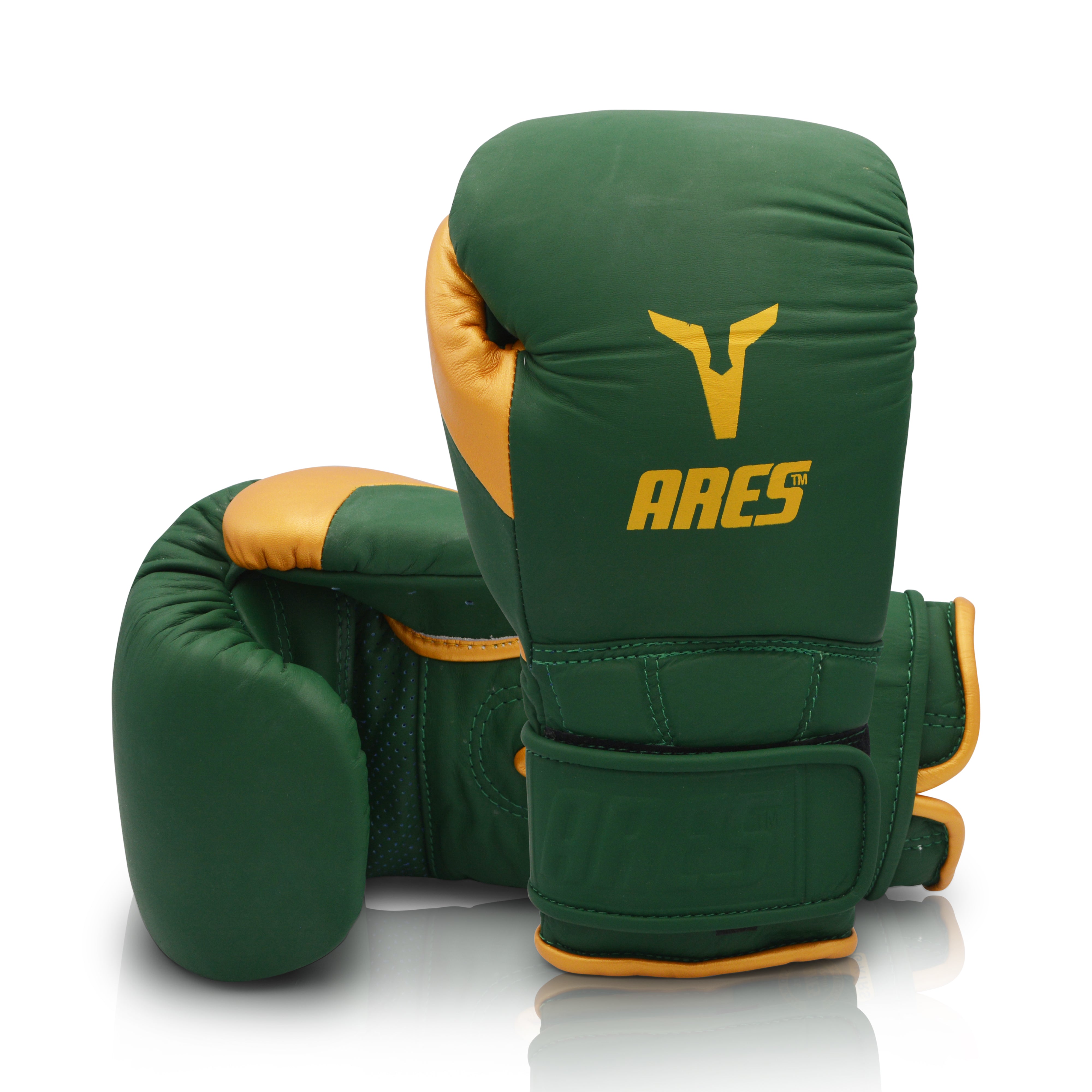 Ares KRTS Sparring & Bag Gloves Hook & Loop