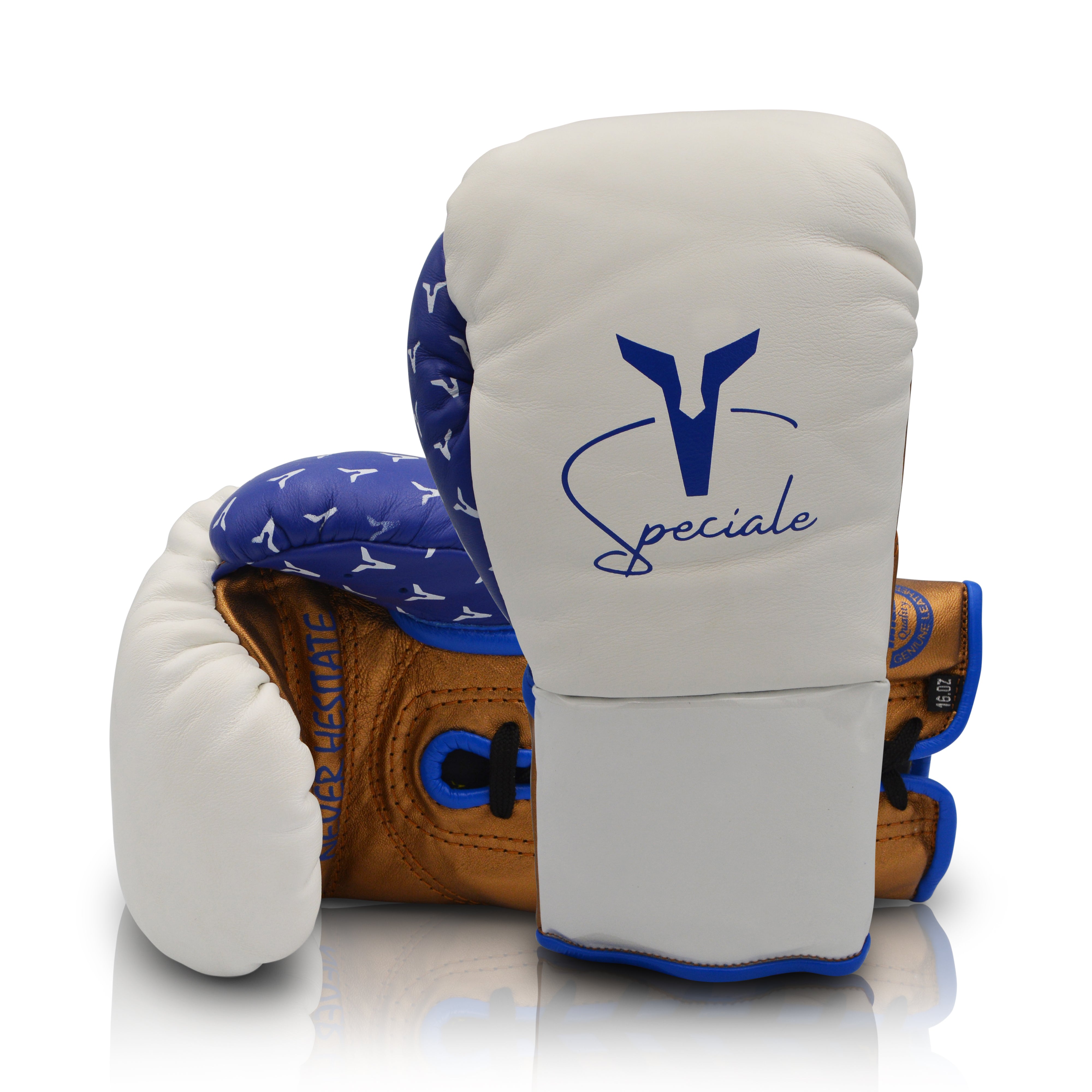 Ares Speciale Boxing Glove
