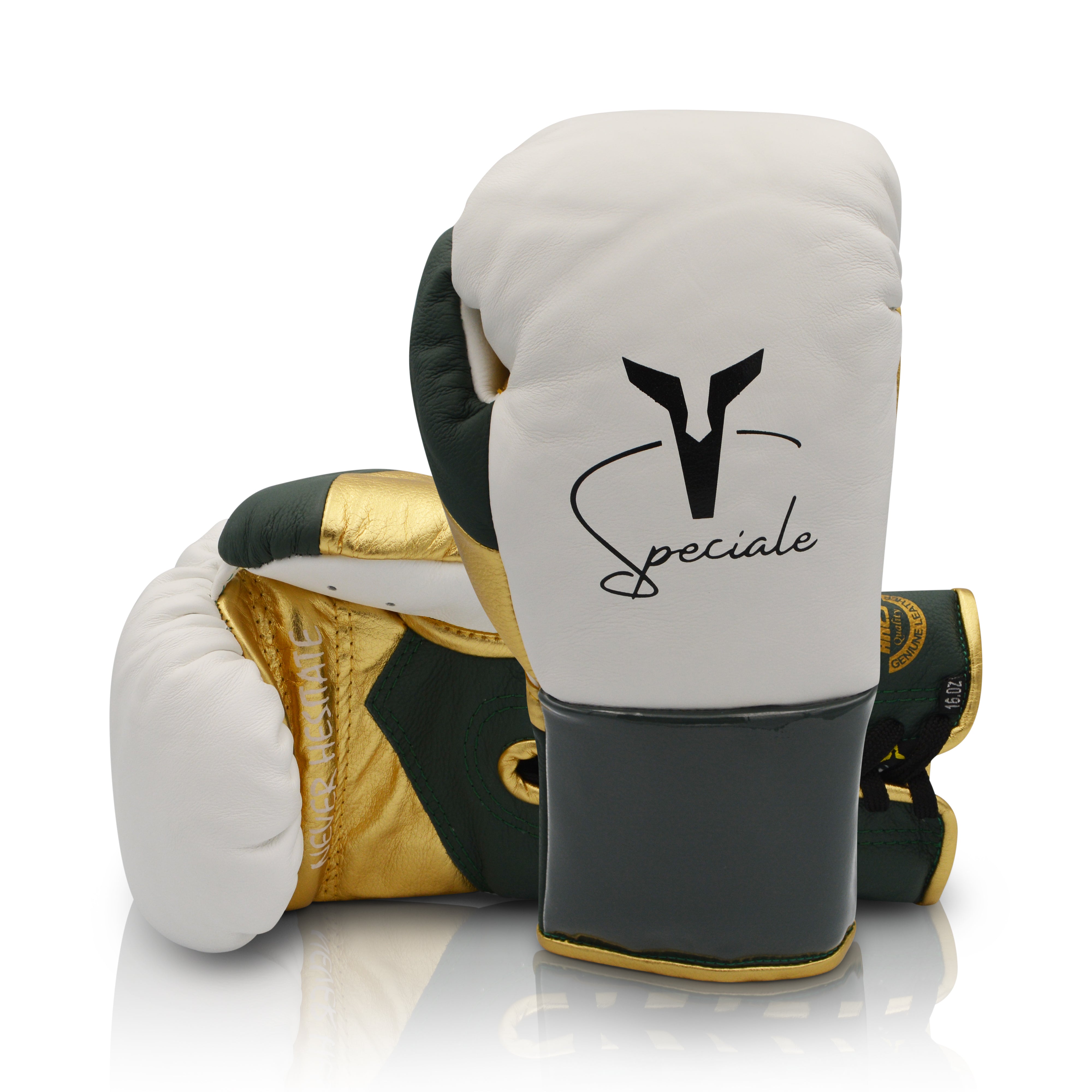 Ares Speciale Boxing Glove