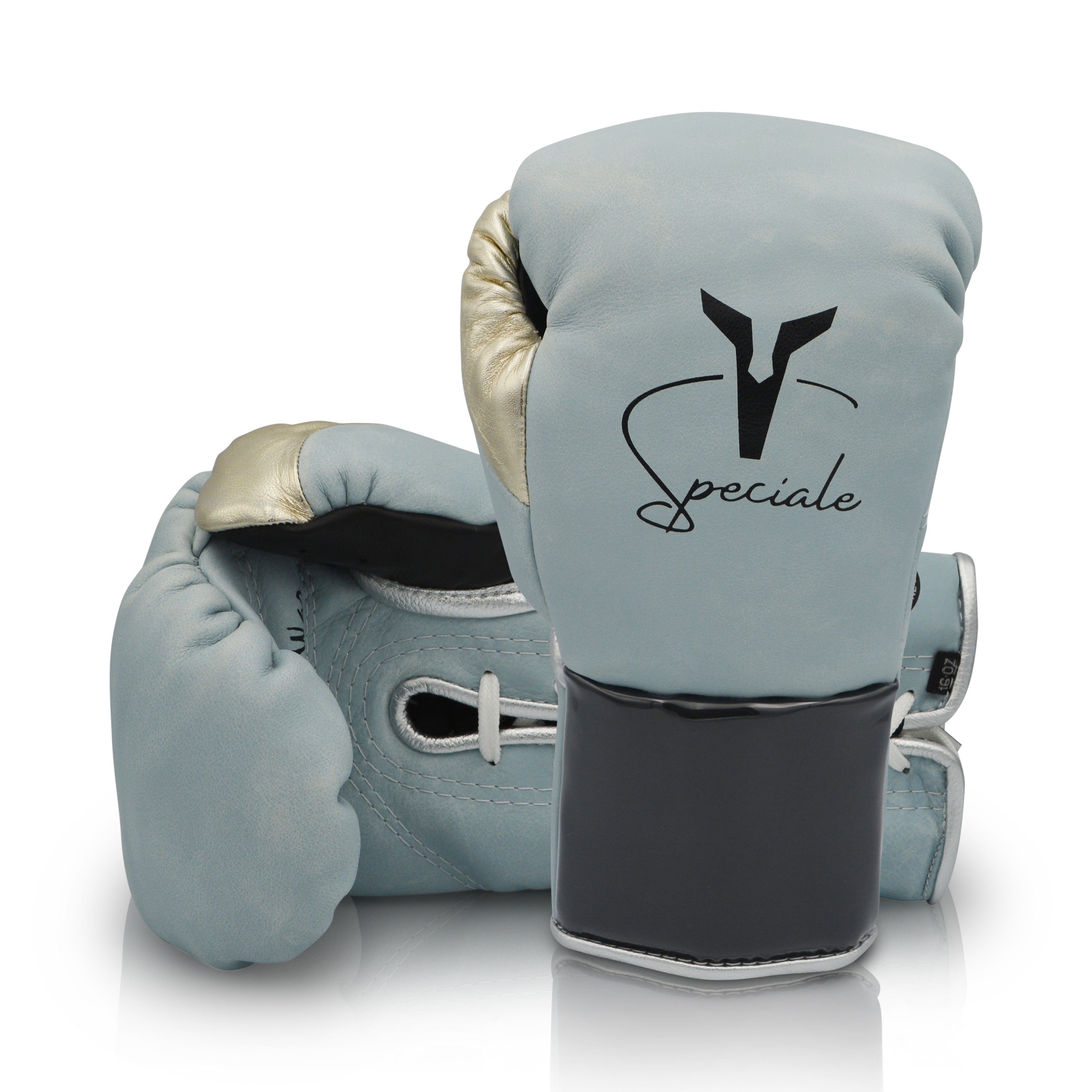 Ares Speciale Boxing Glove