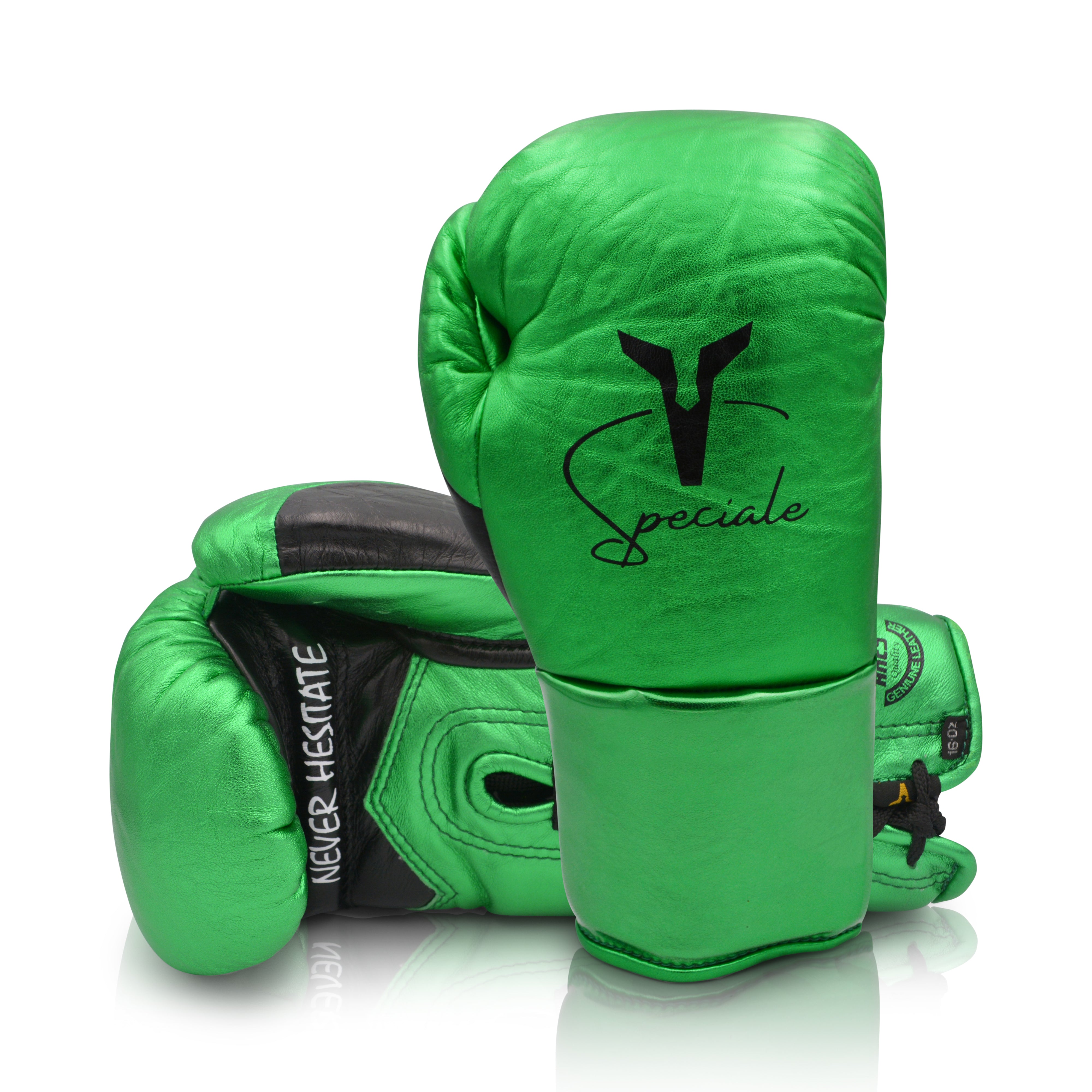 Ares Speciale Boxing Glove