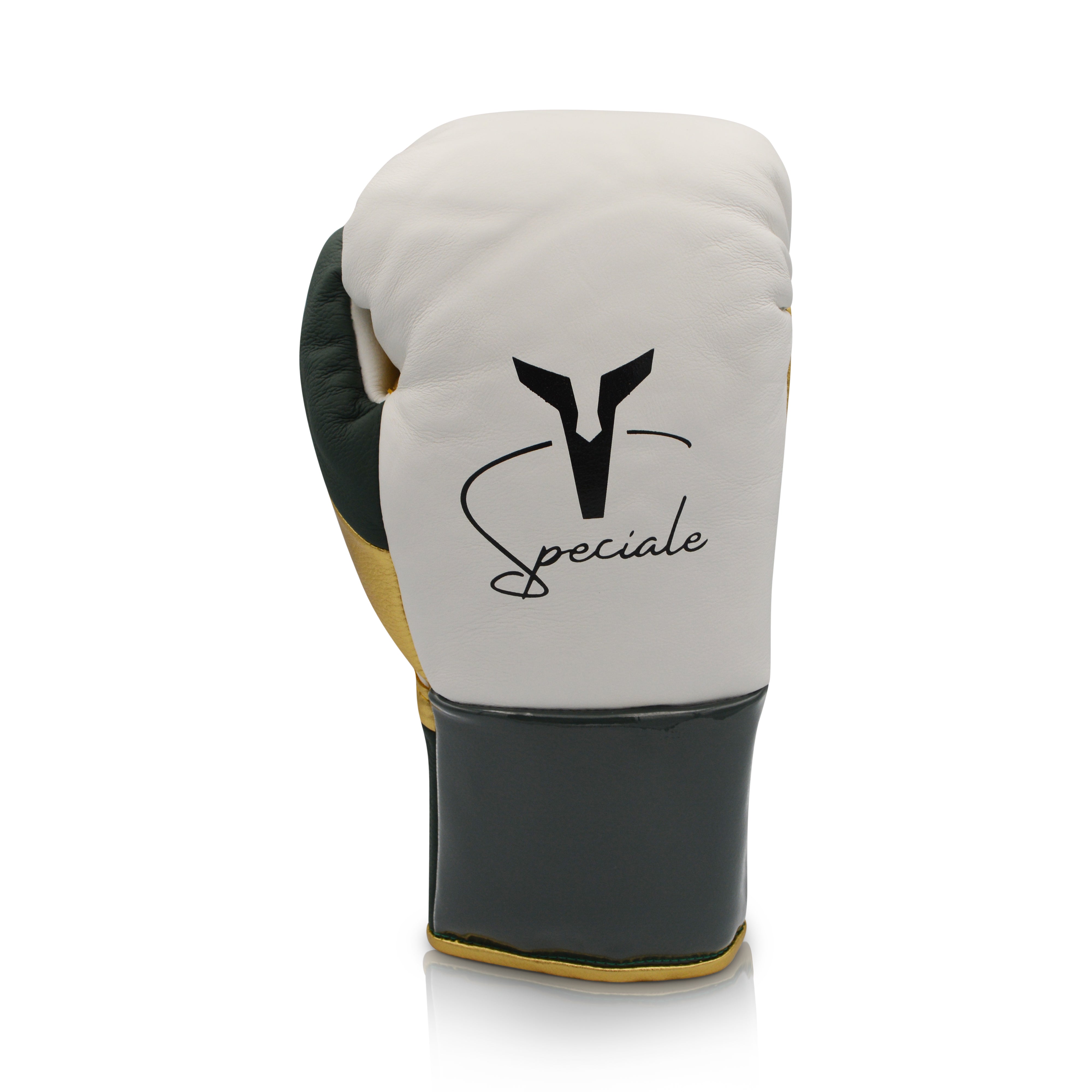 Ares Speciale Boxing Glove
