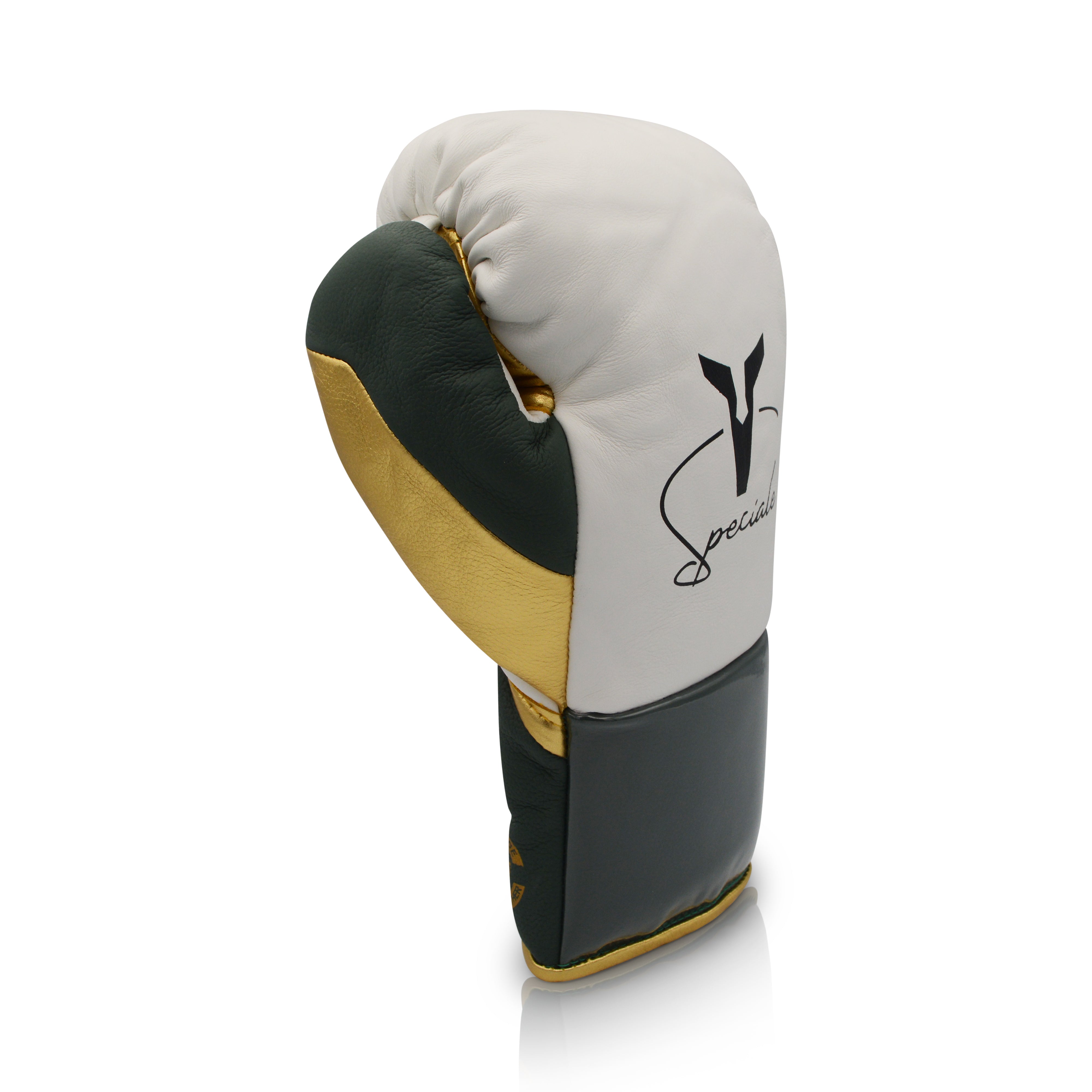 Ares Speciale Boxing Glove