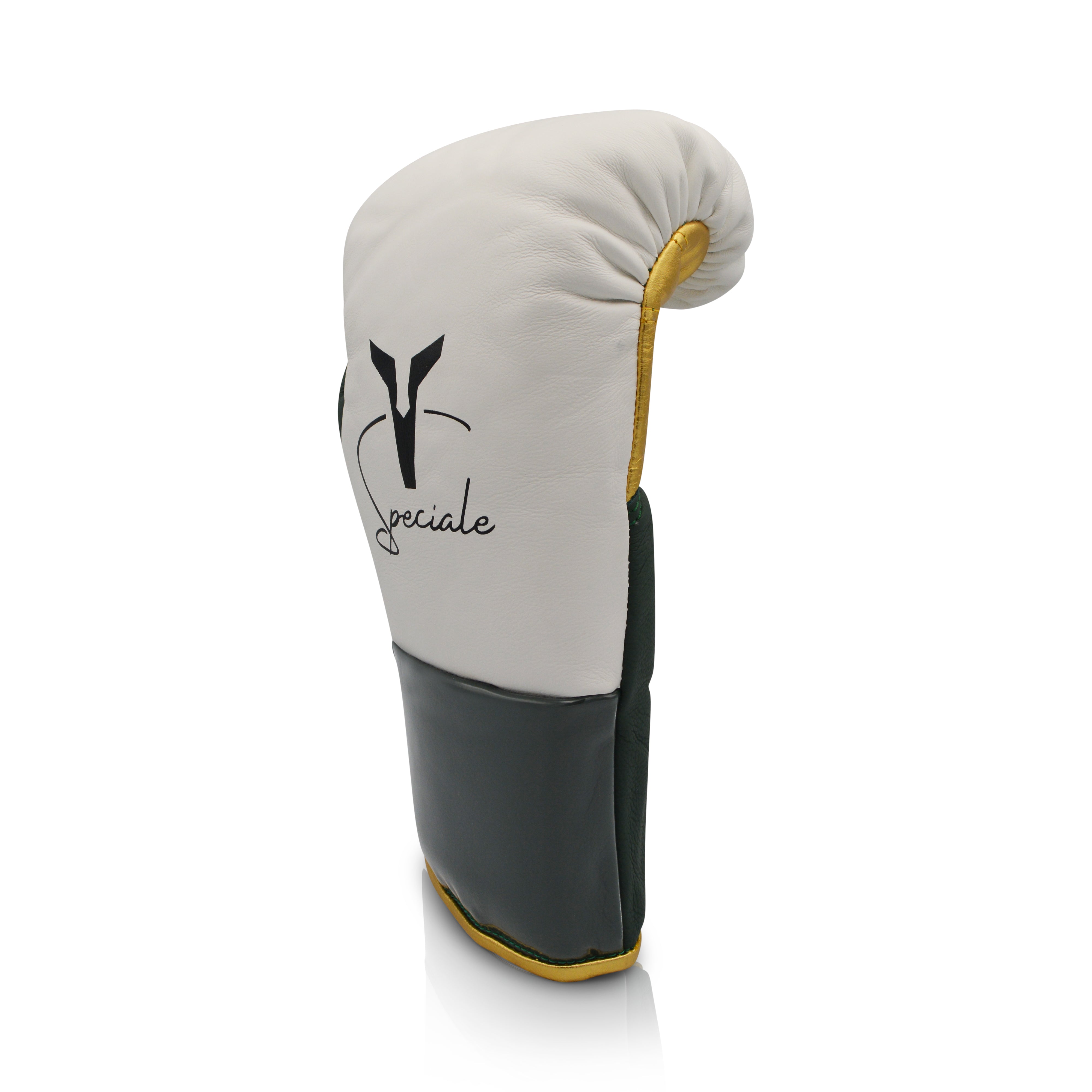 Ares Speciale Boxing Glove