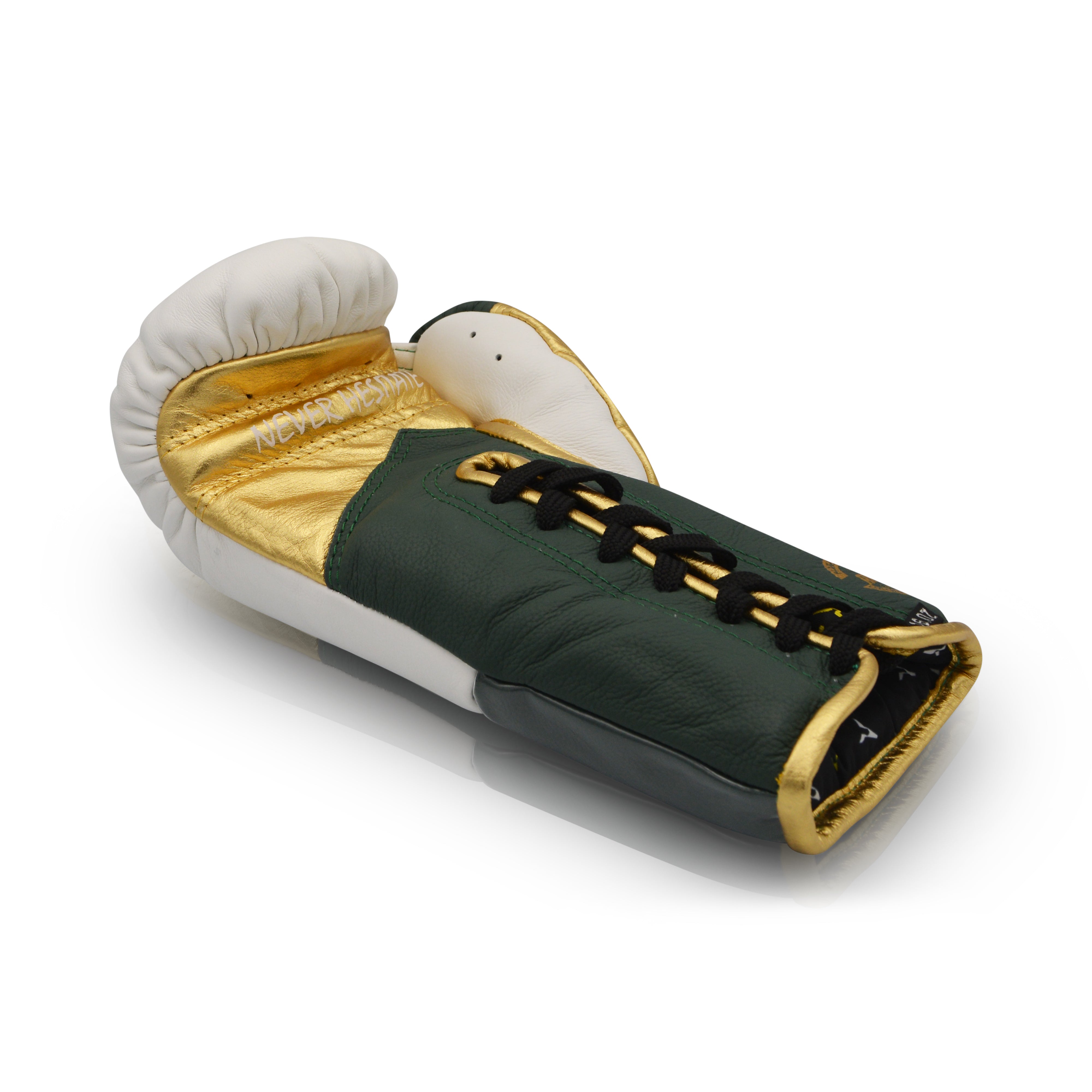 Ares Speciale Boxing Glove