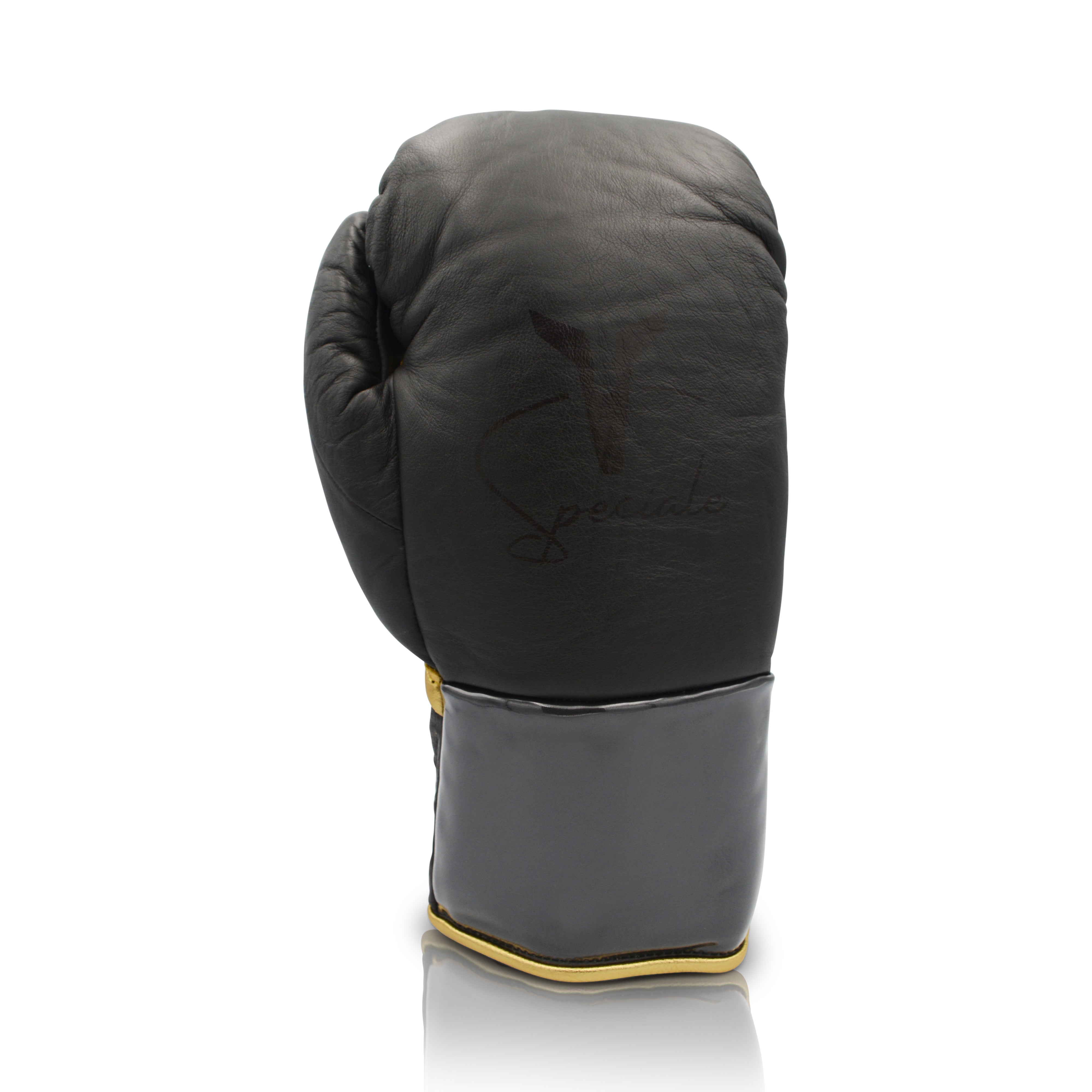 Ares Speciale Boxing Glove