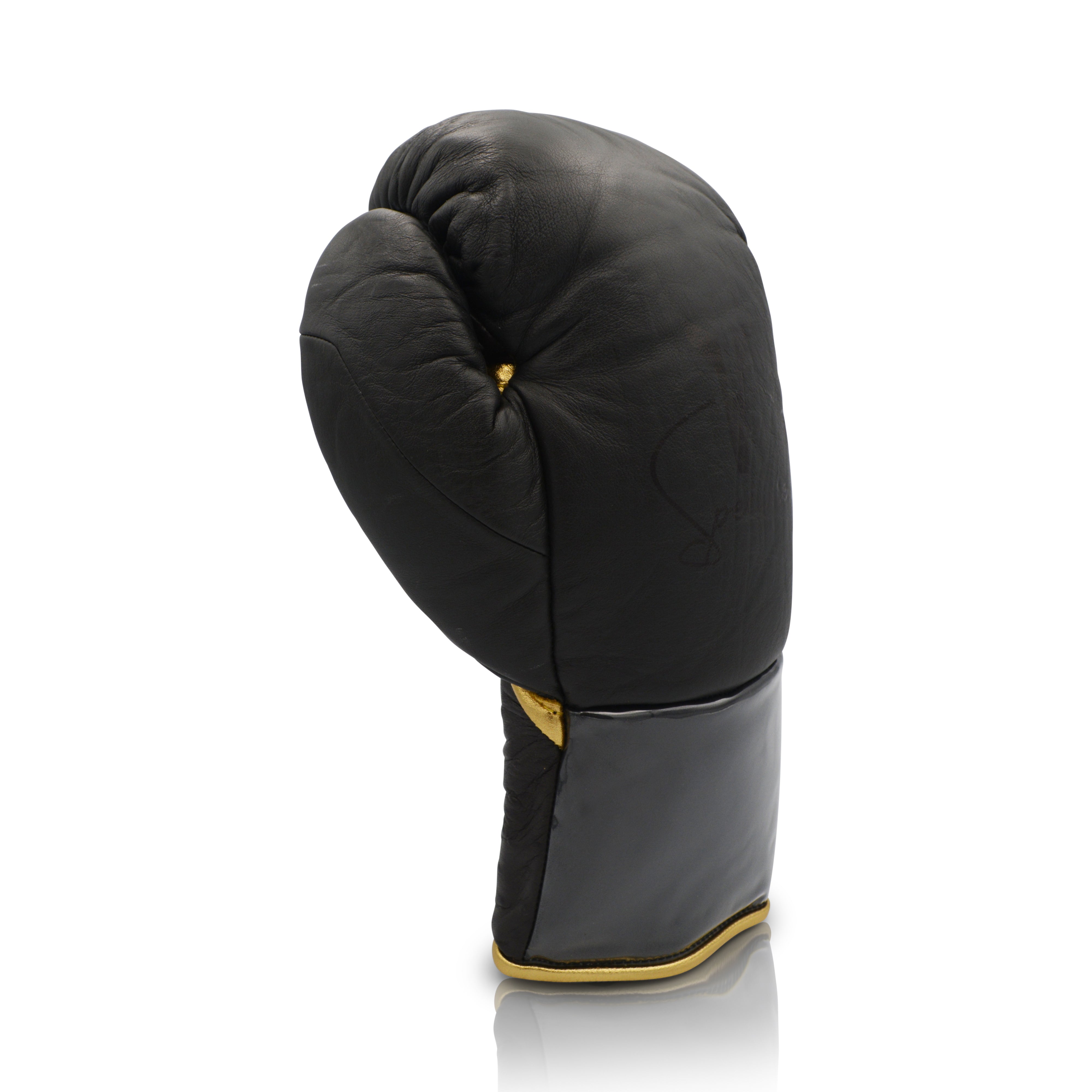 Ares Speciale Boxing Glove
