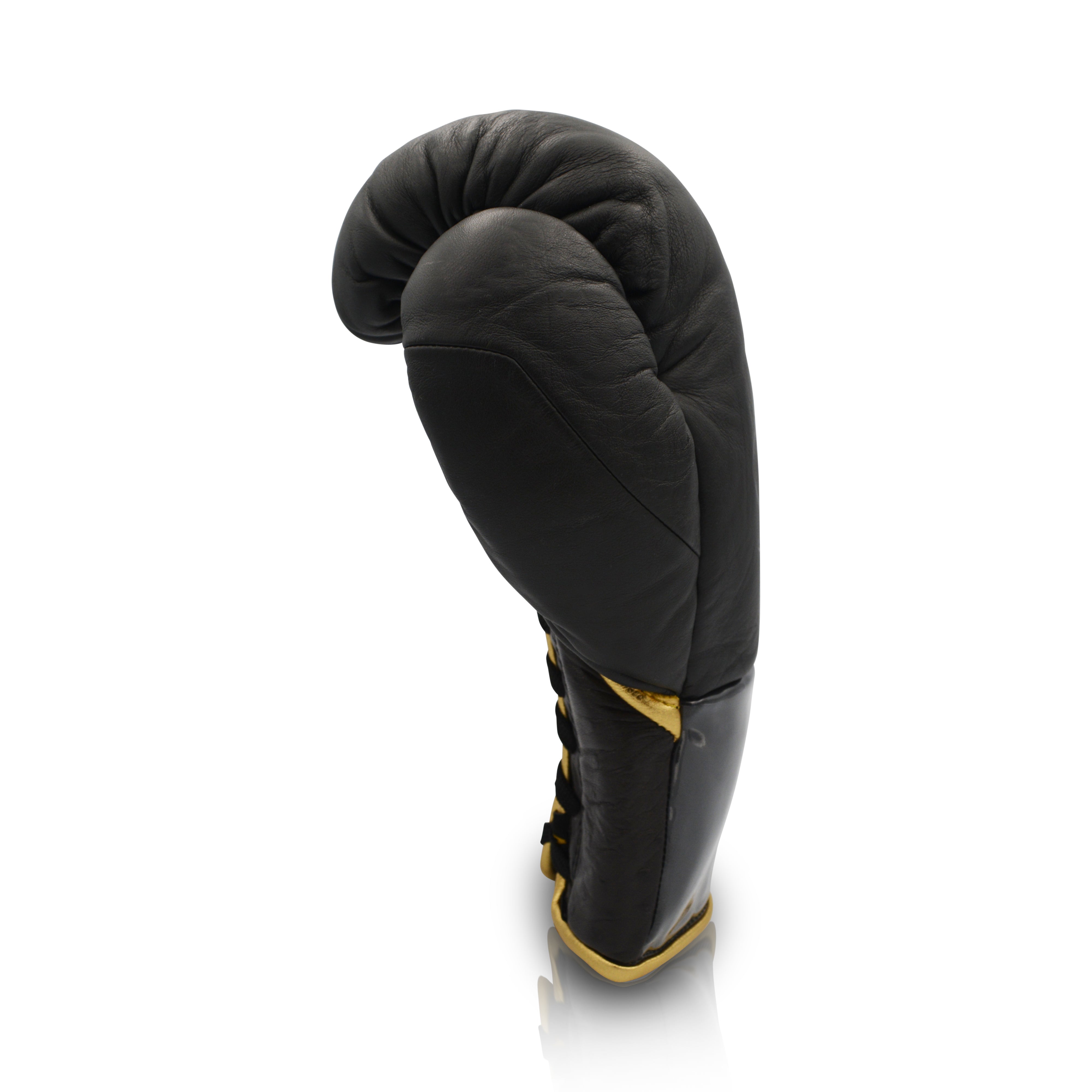 Ares Speciale Boxing Glove