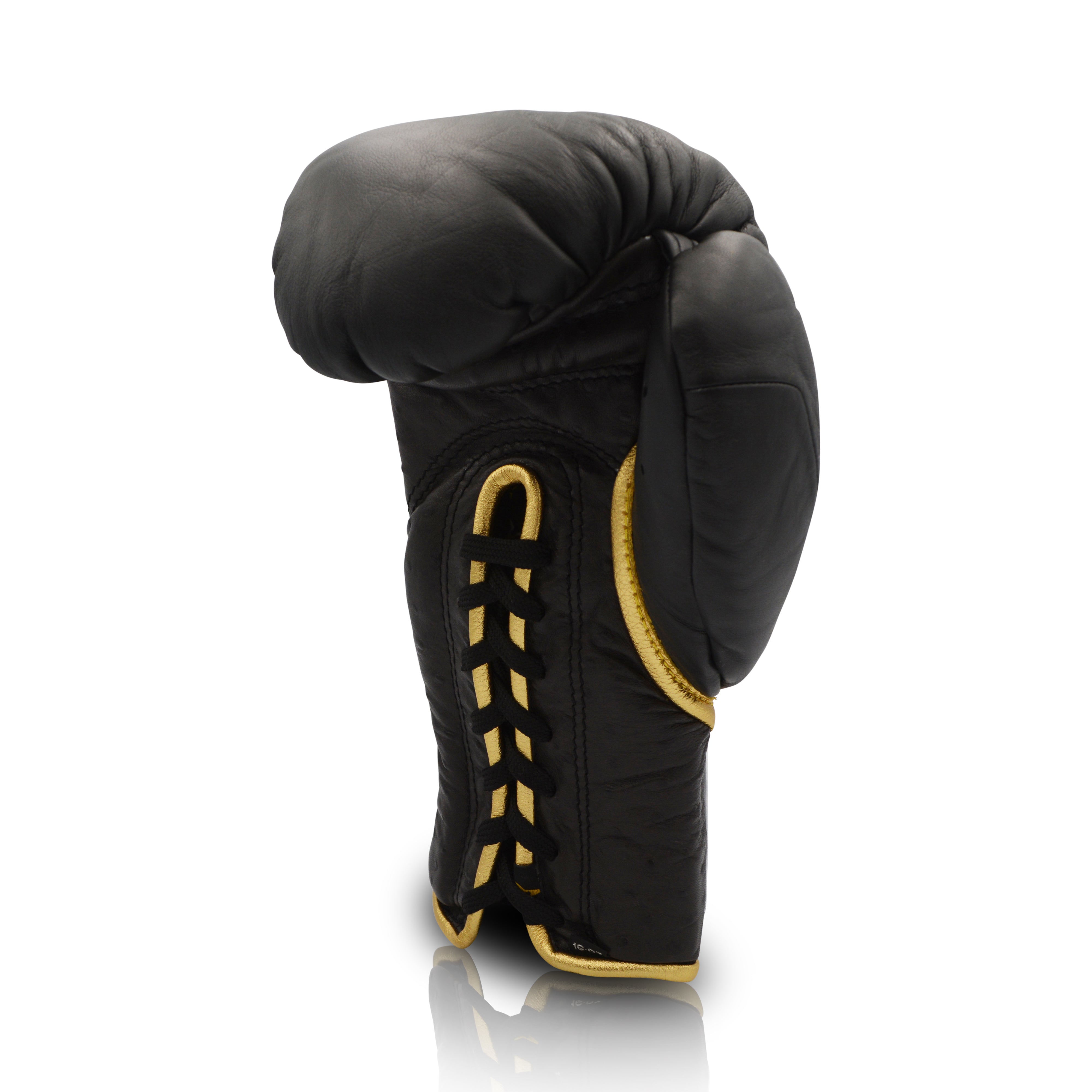 Ares Speciale Boxing Glove