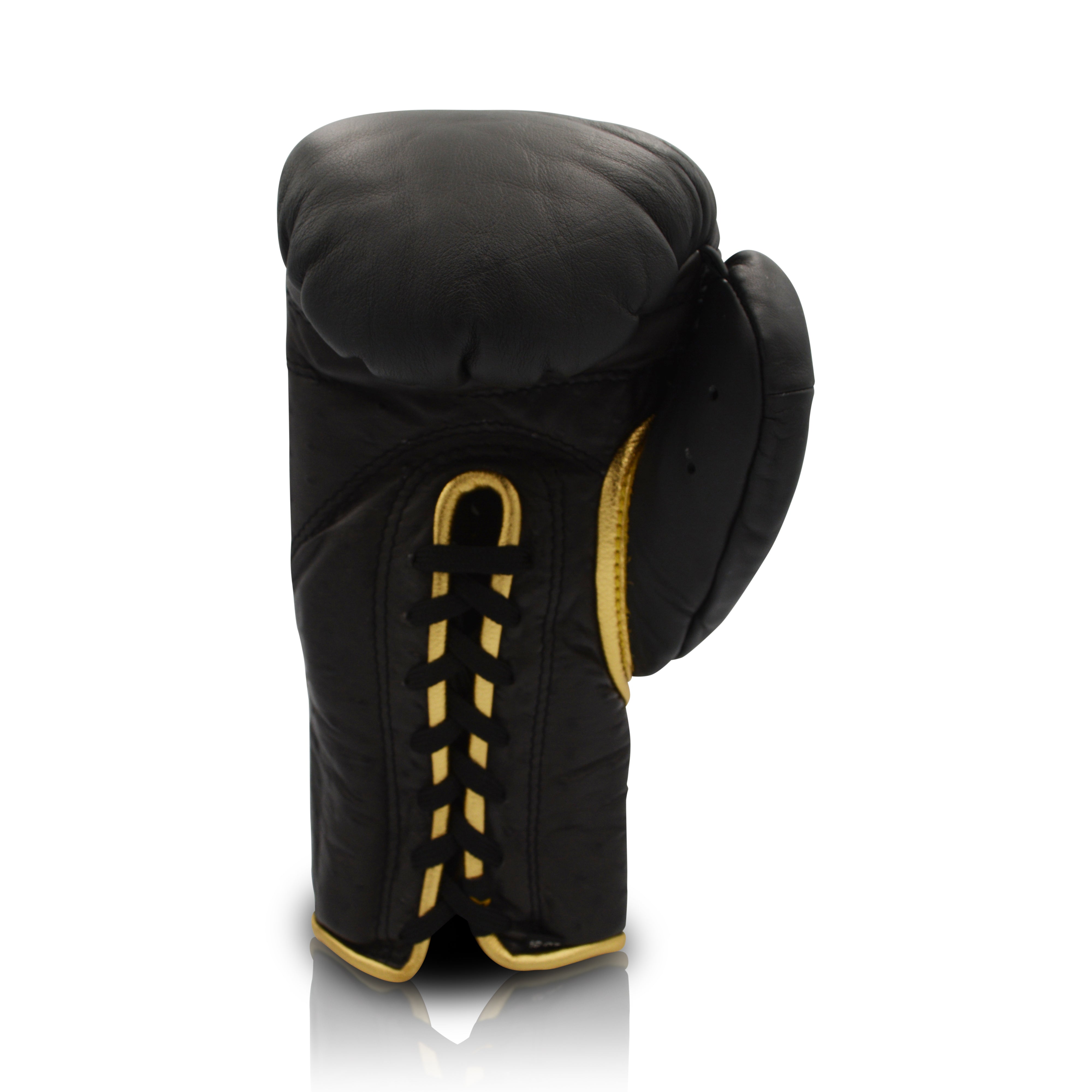 Ares Speciale Boxing Glove