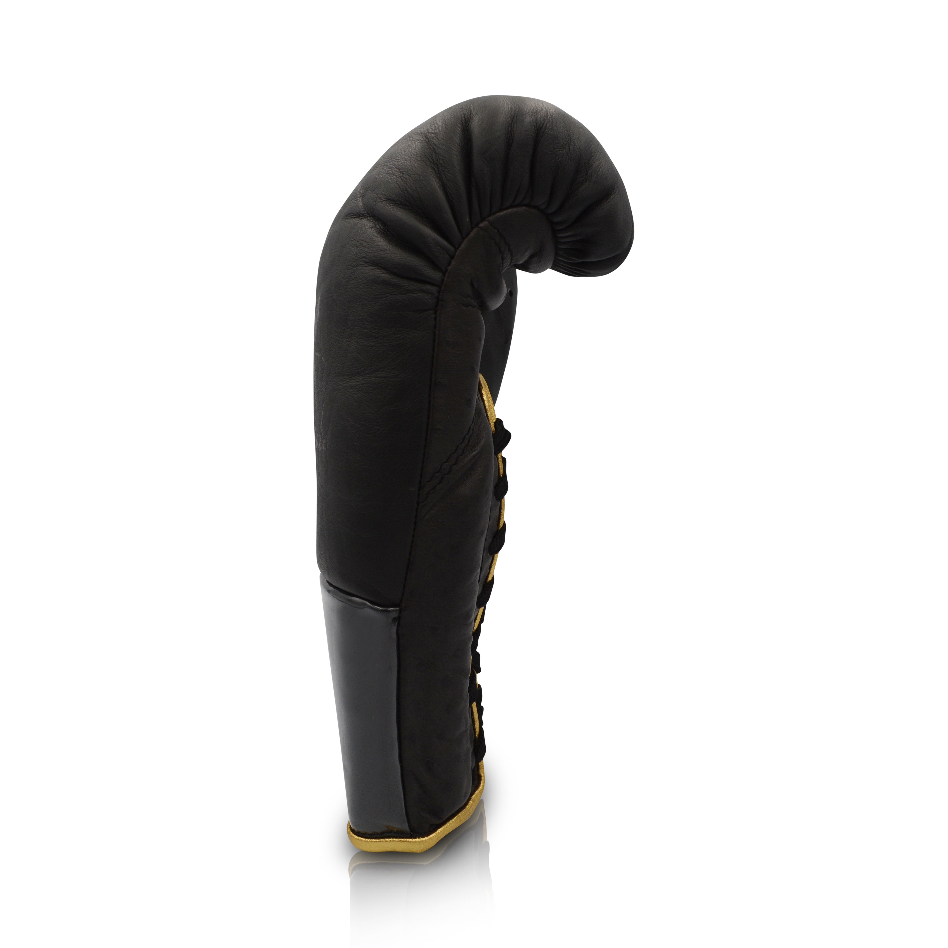 Ares Speciale Boxing Glove