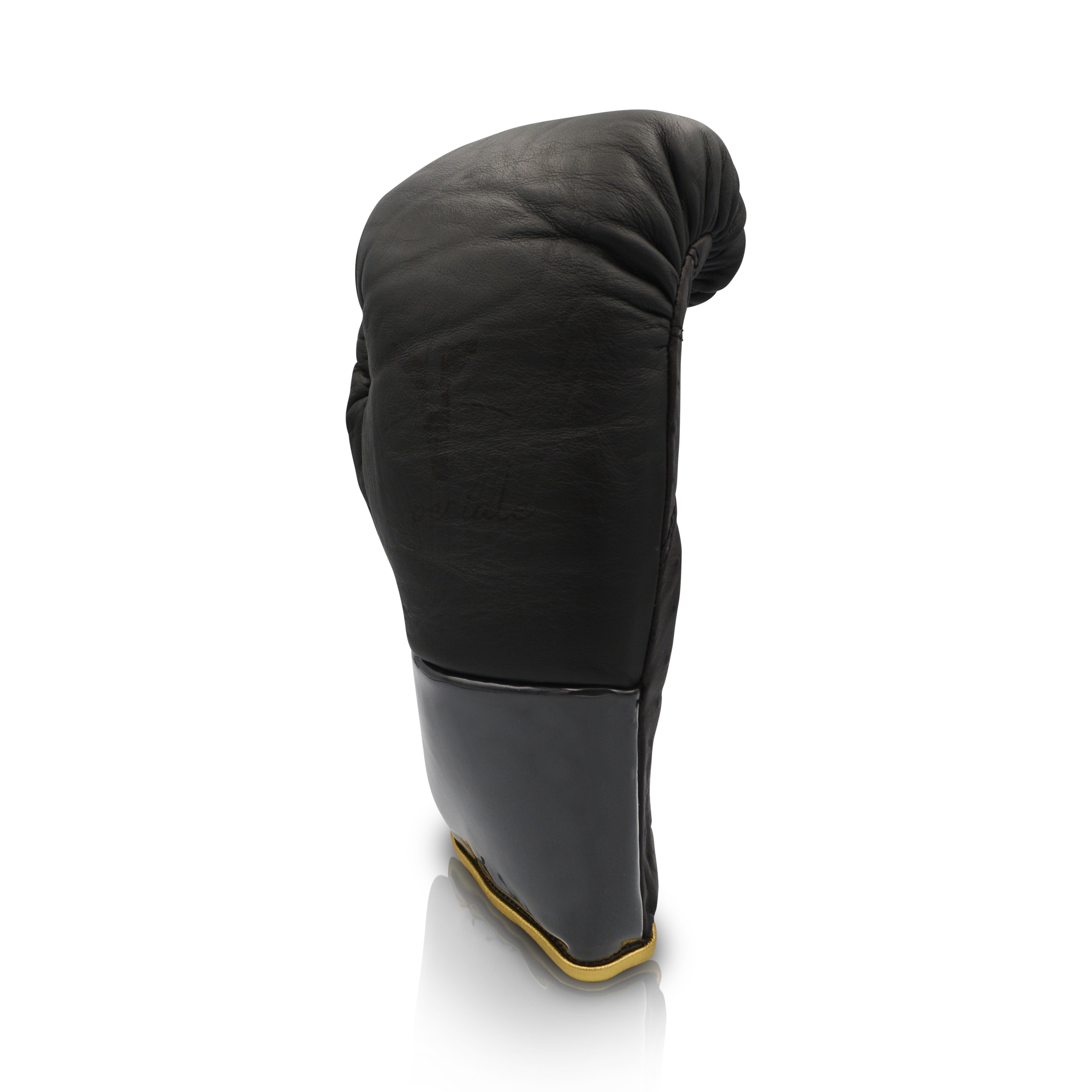 Ares Speciale Boxing Glove
