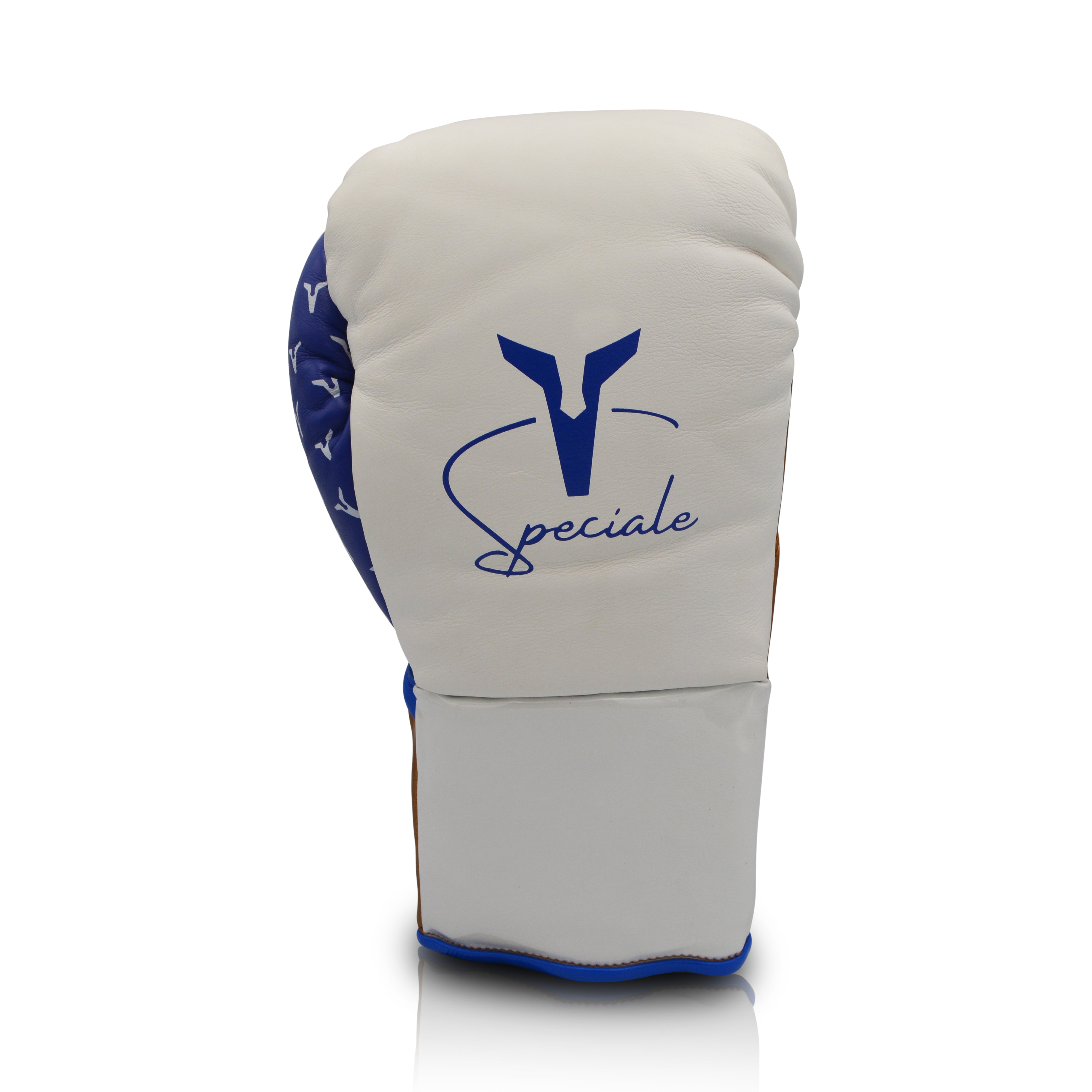 Ares Speciale Boxing Glove