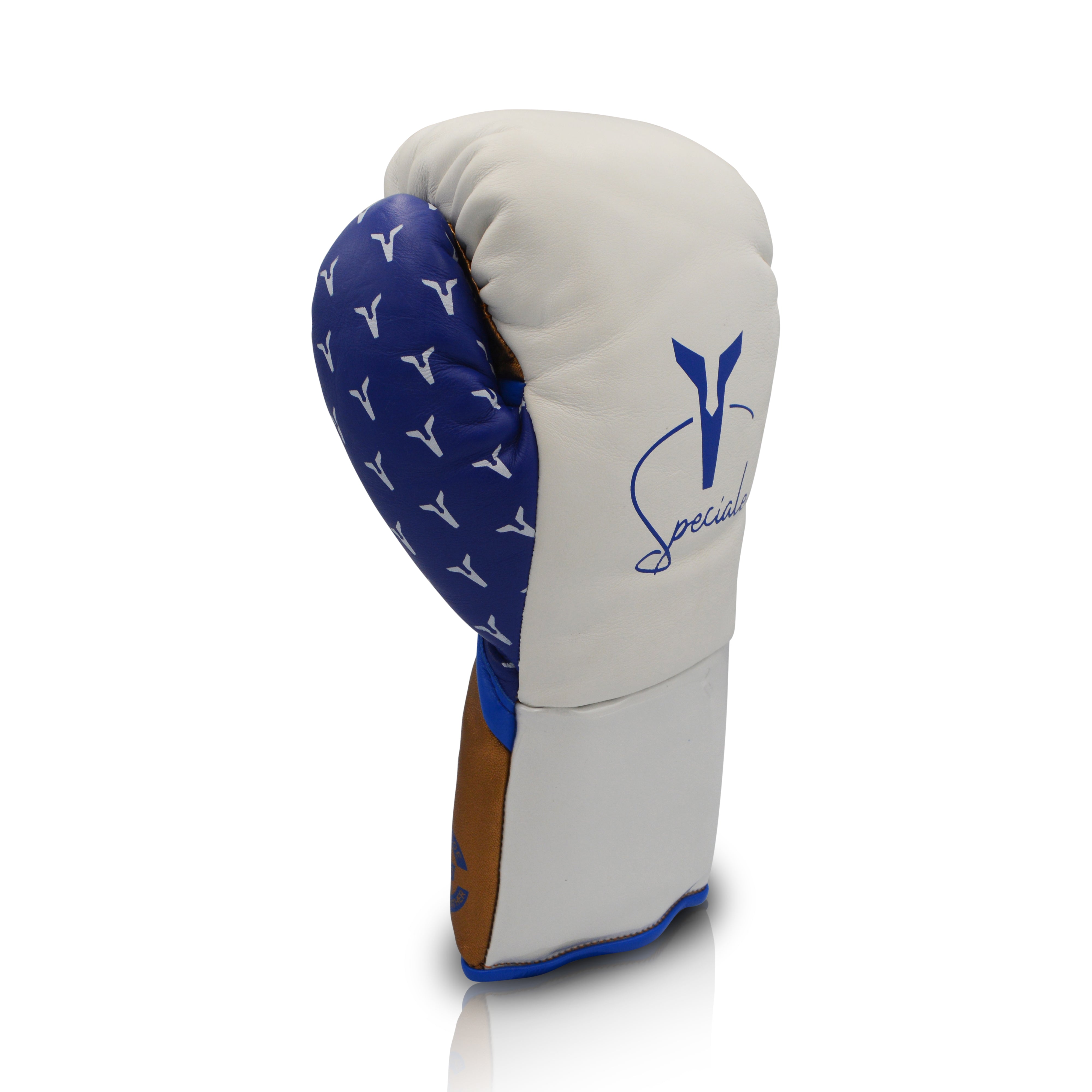 Ares Speciale Boxing Glove