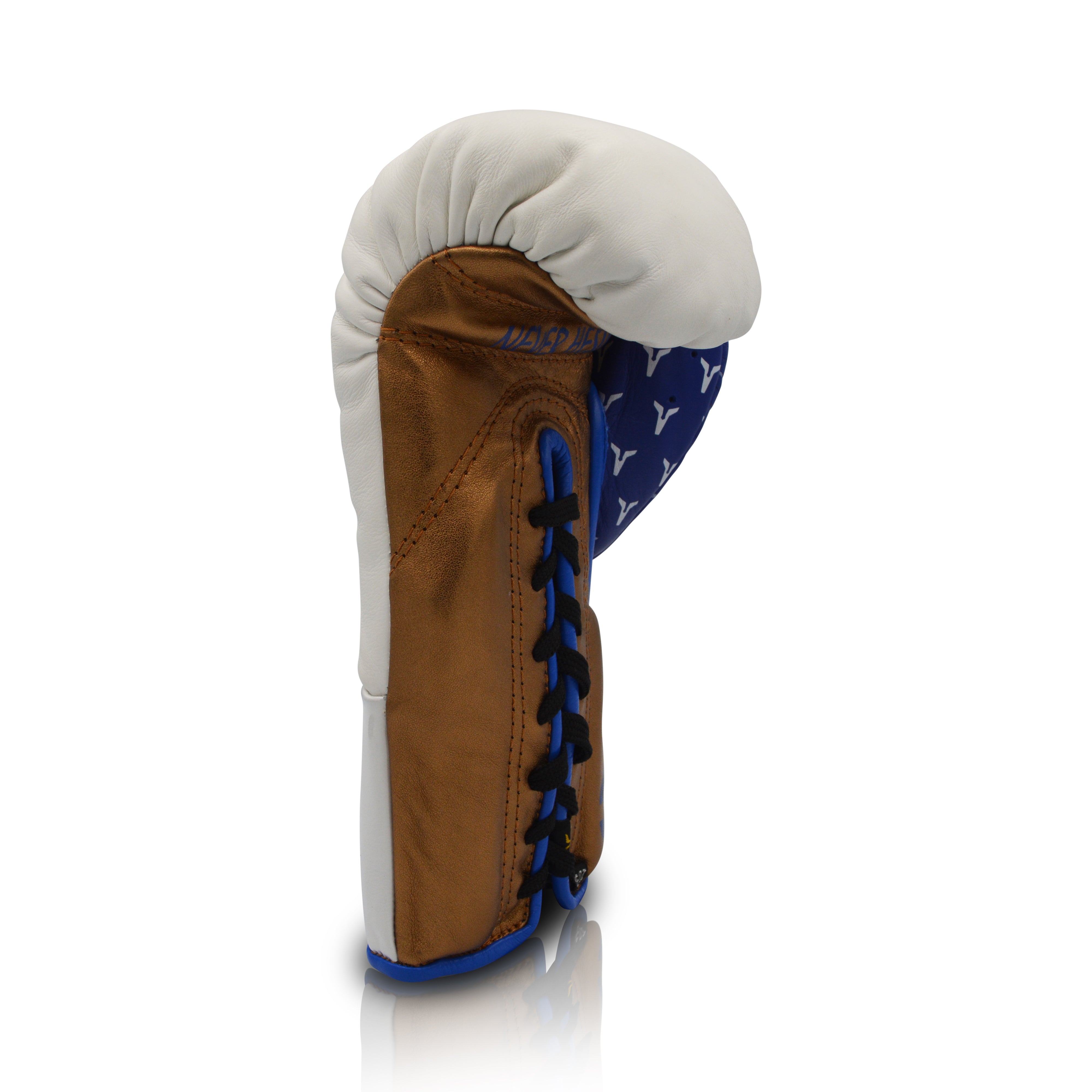 Ares Speciale Boxing Glove
