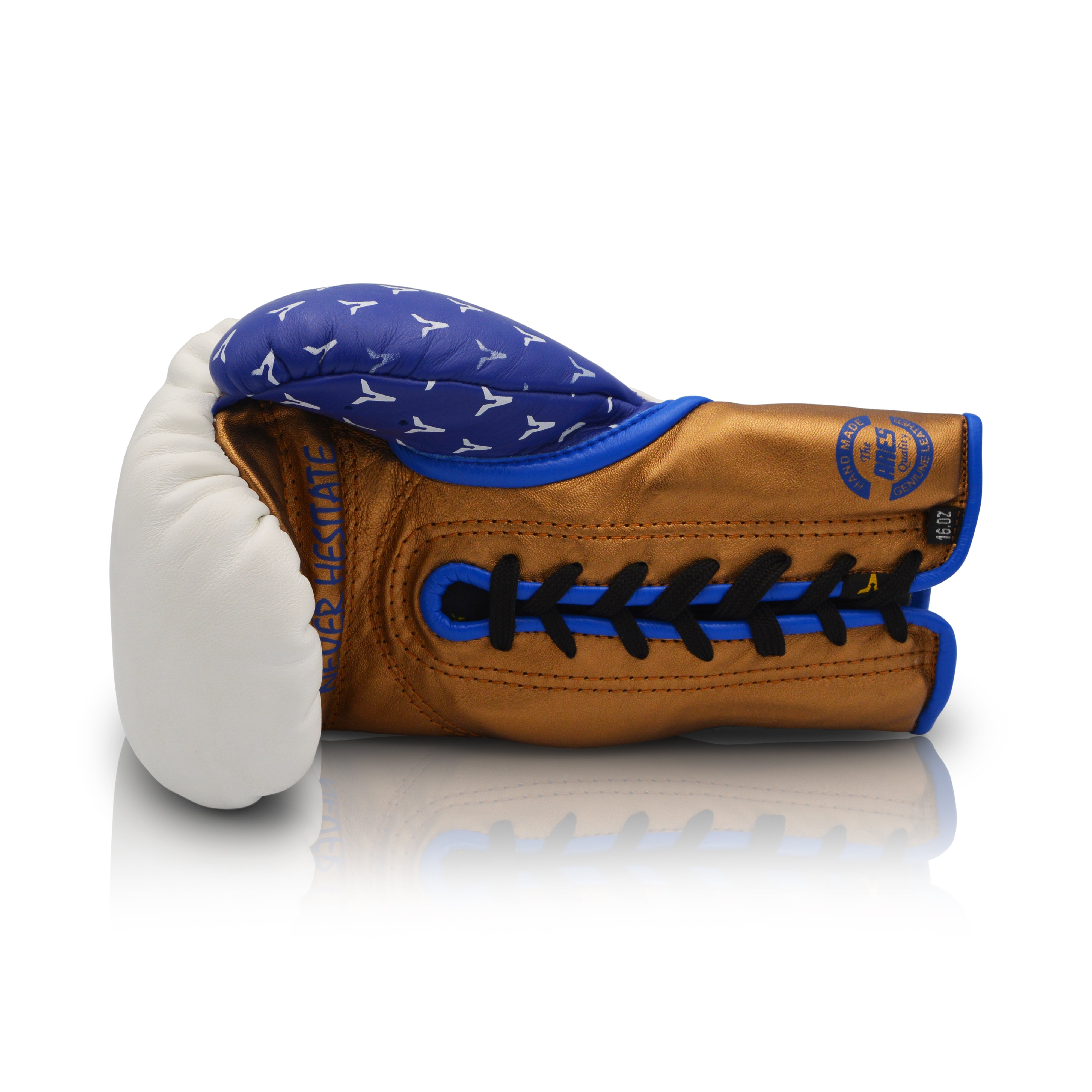 Ares Speciale Boxing Glove