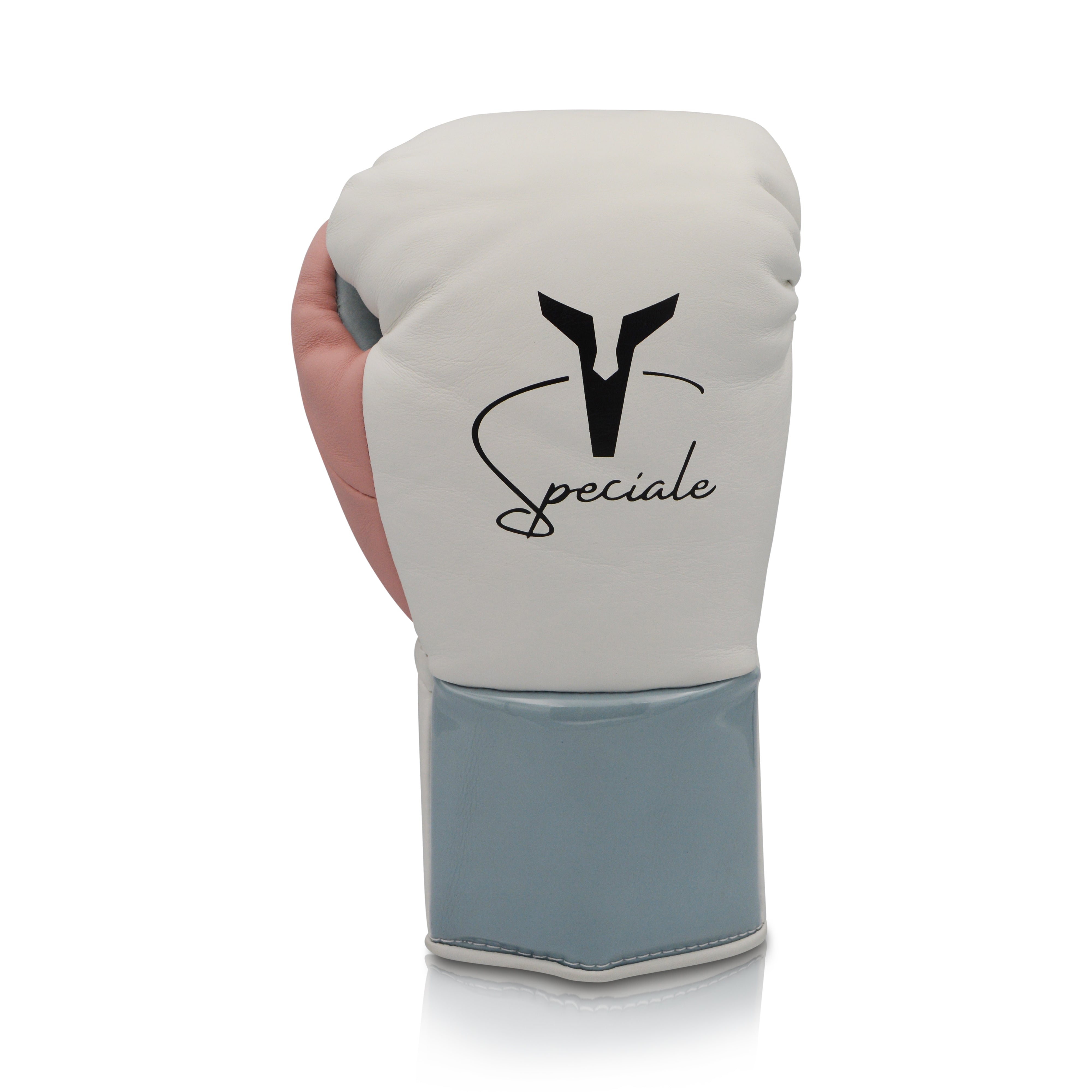 Ares Speciale Boxing Glove