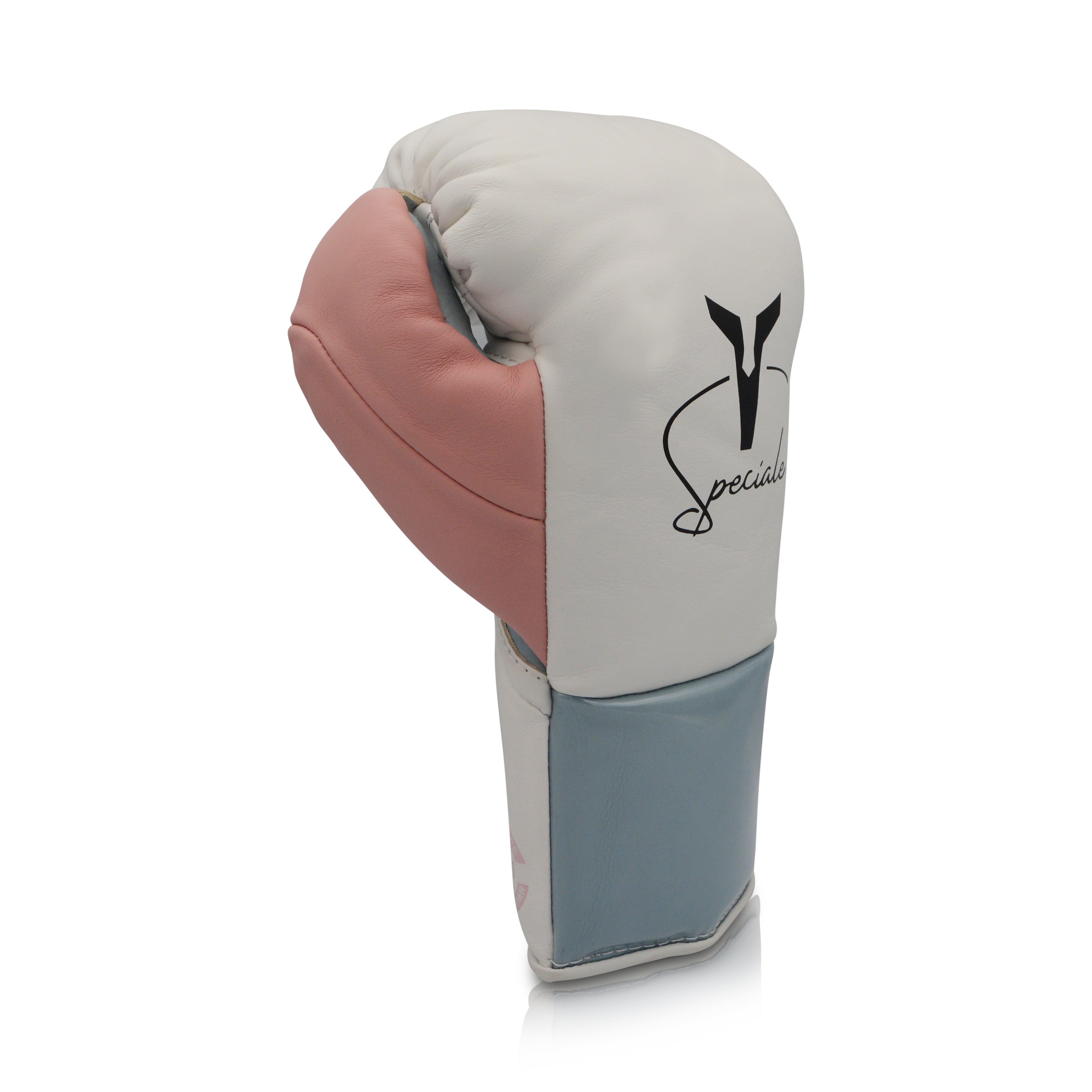 Ares Speciale Boxing Glove