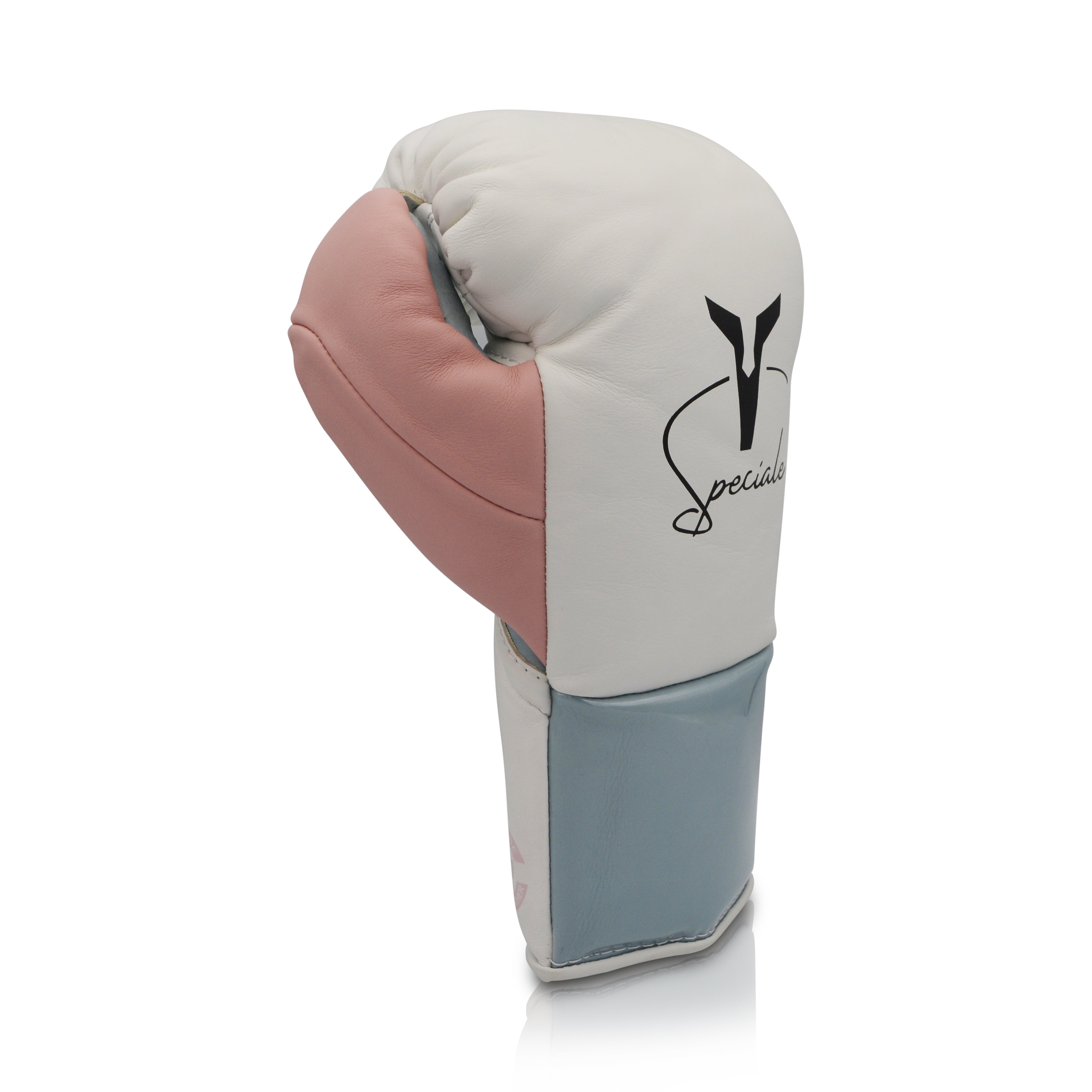 Ares Speciale Boxing Glove