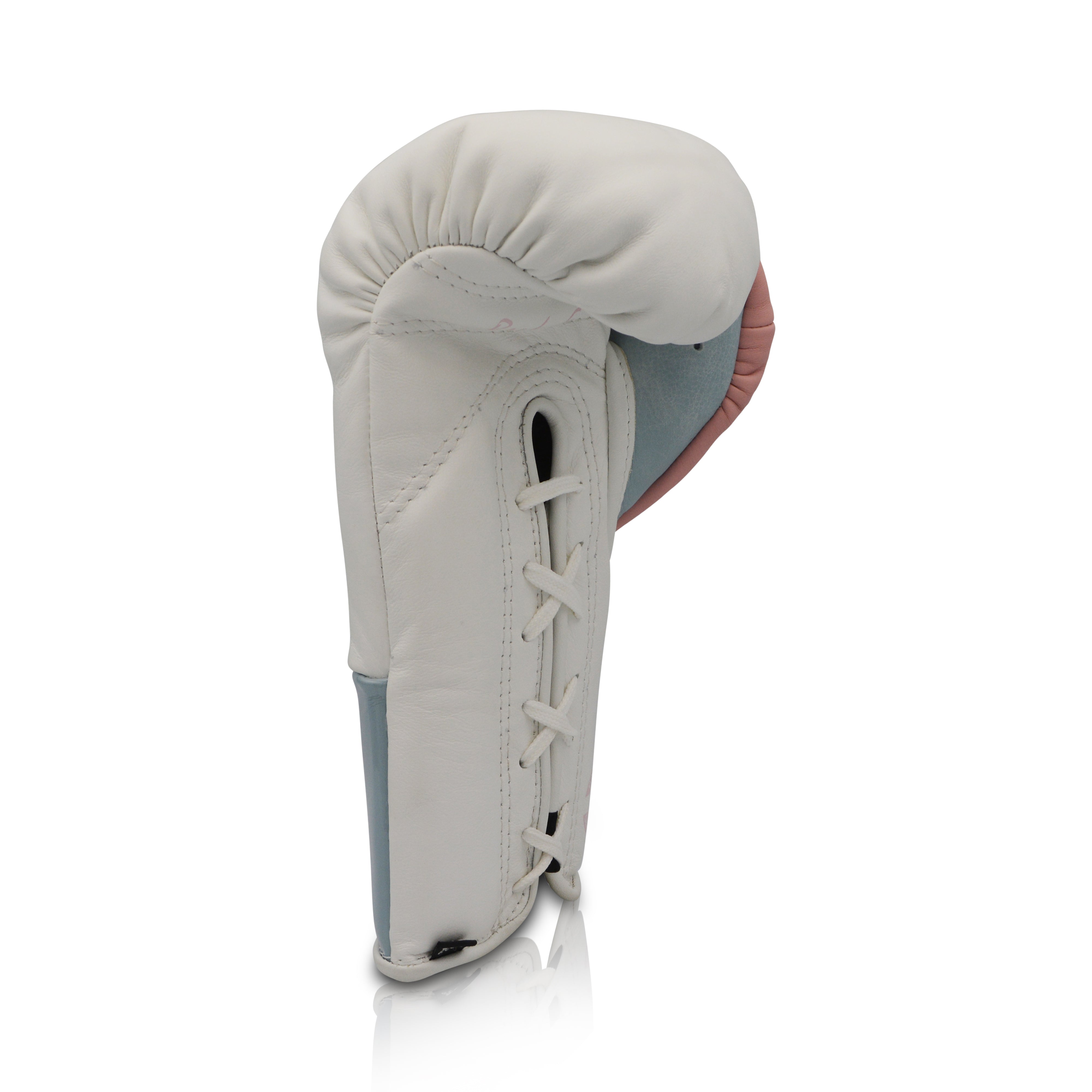 Ares Speciale Boxing Glove