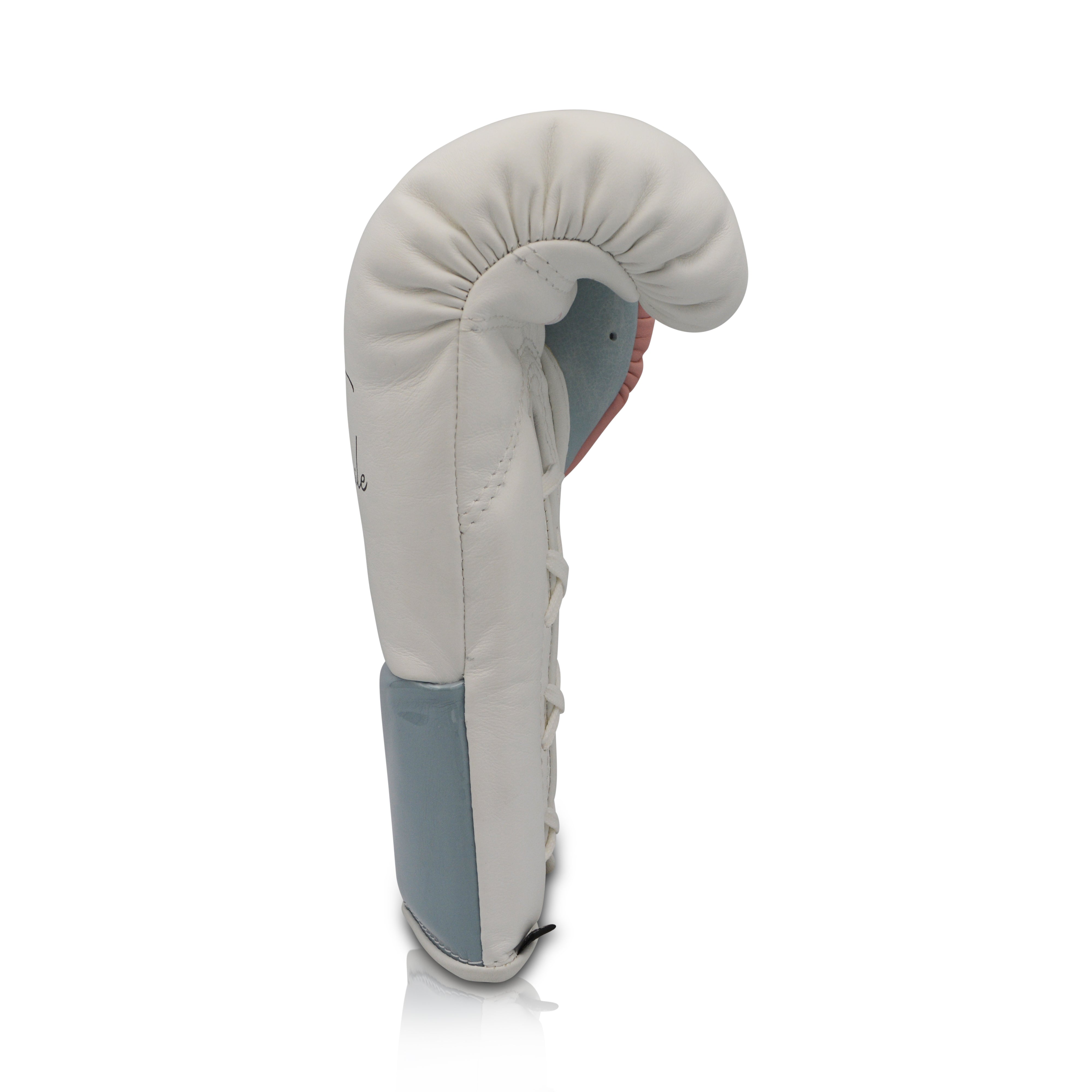 Ares Speciale Boxing Glove