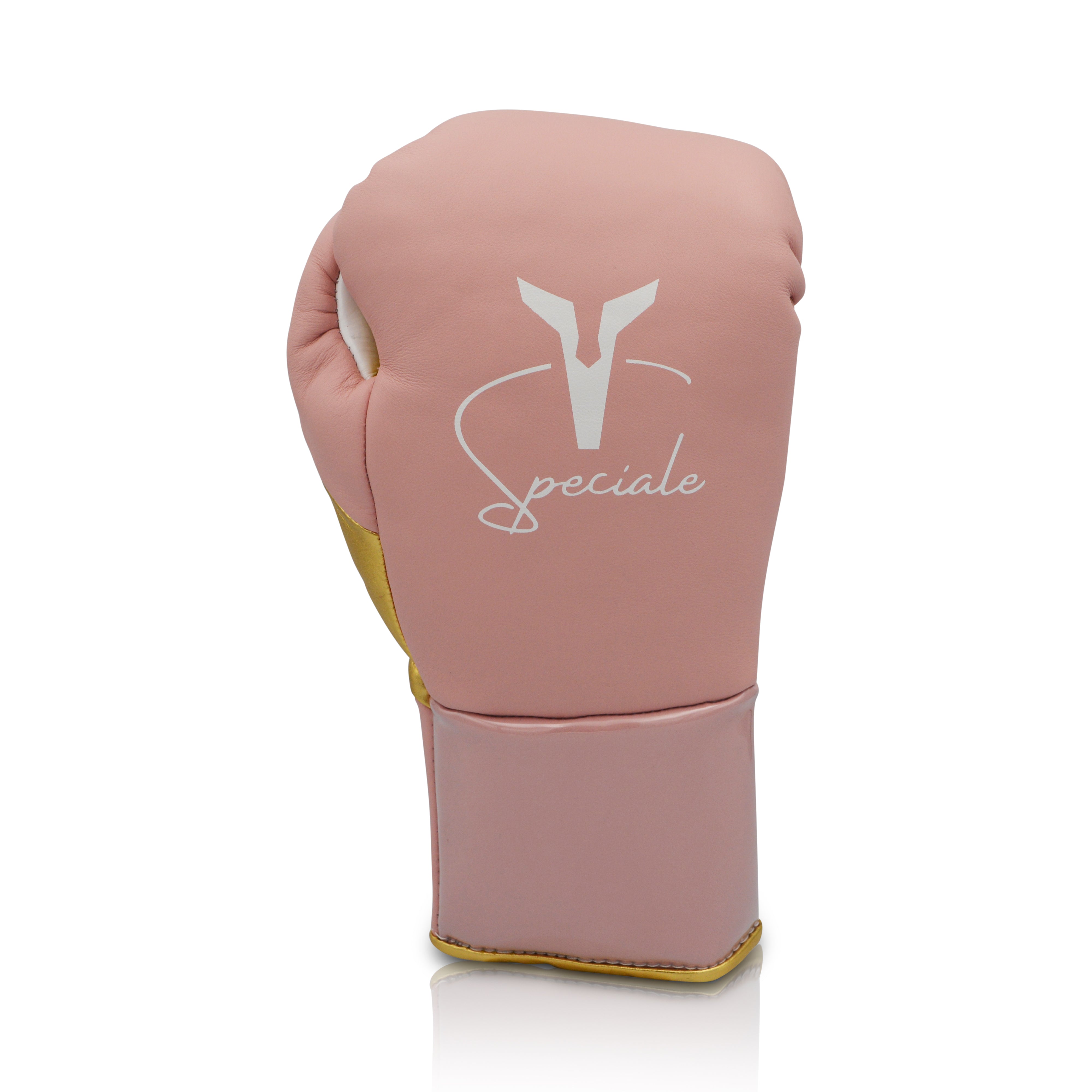 Ares Speciale Boxing Glove
