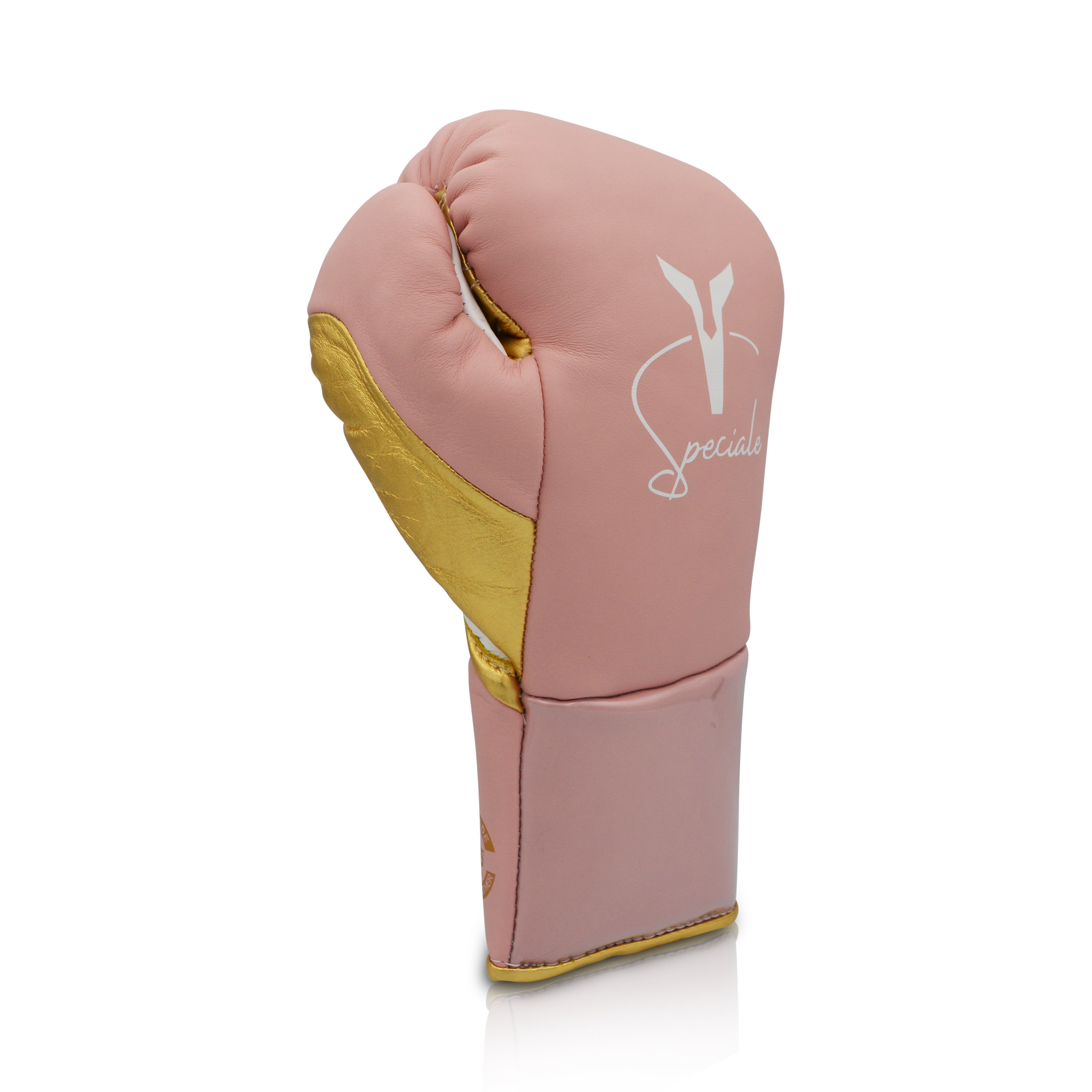Ares Speciale Boxing Glove