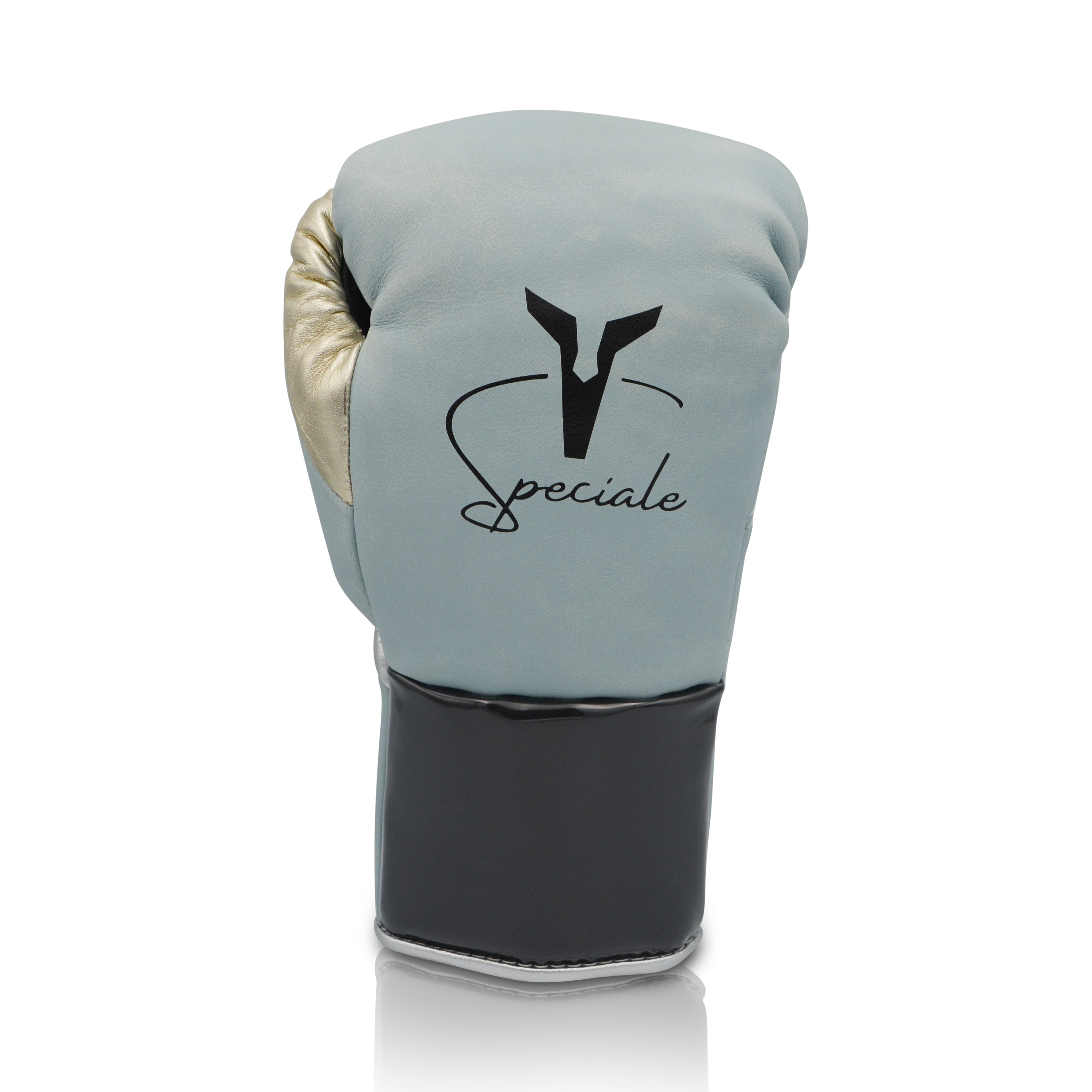 Ares Speciale Boxing Glove