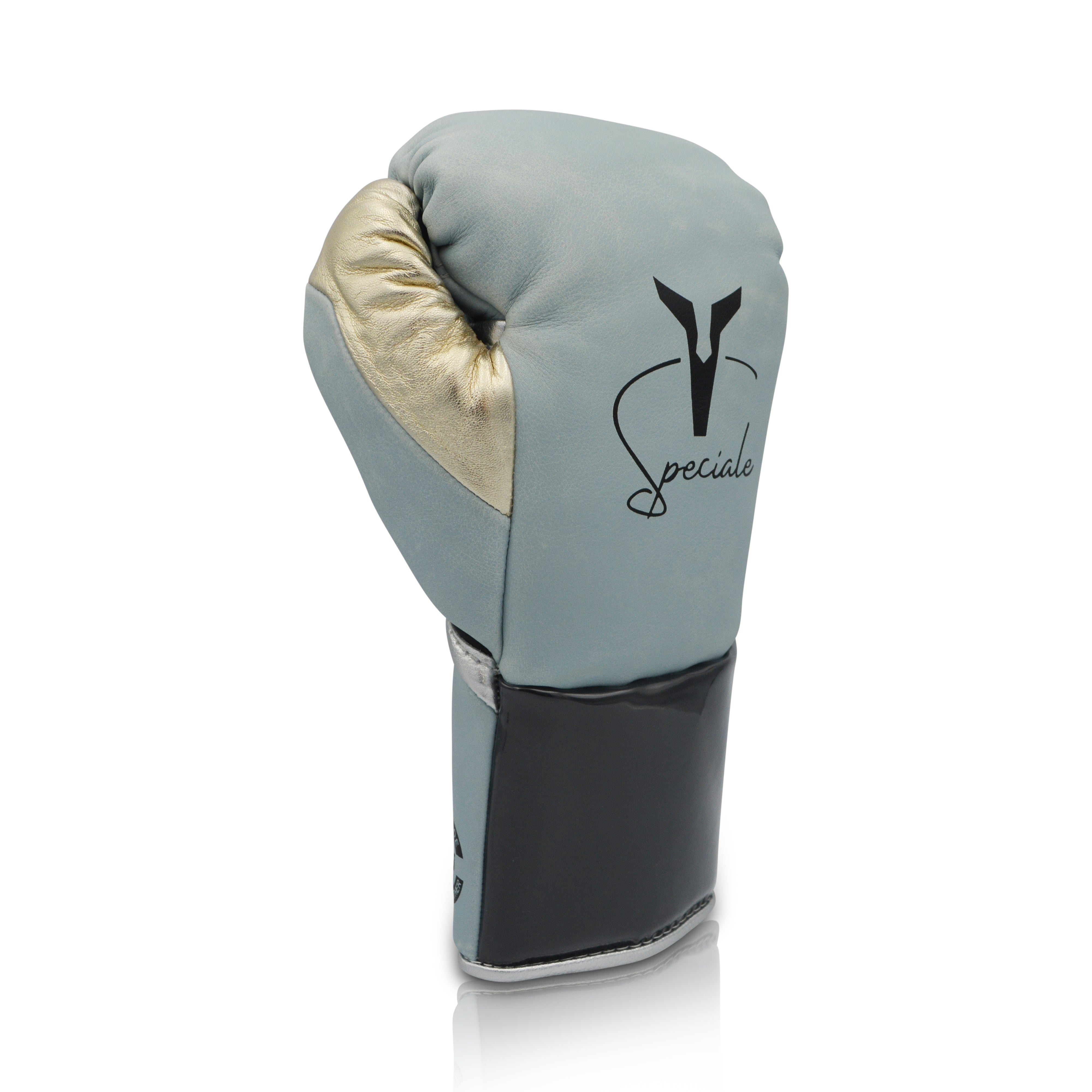 Ares Speciale Boxing Glove