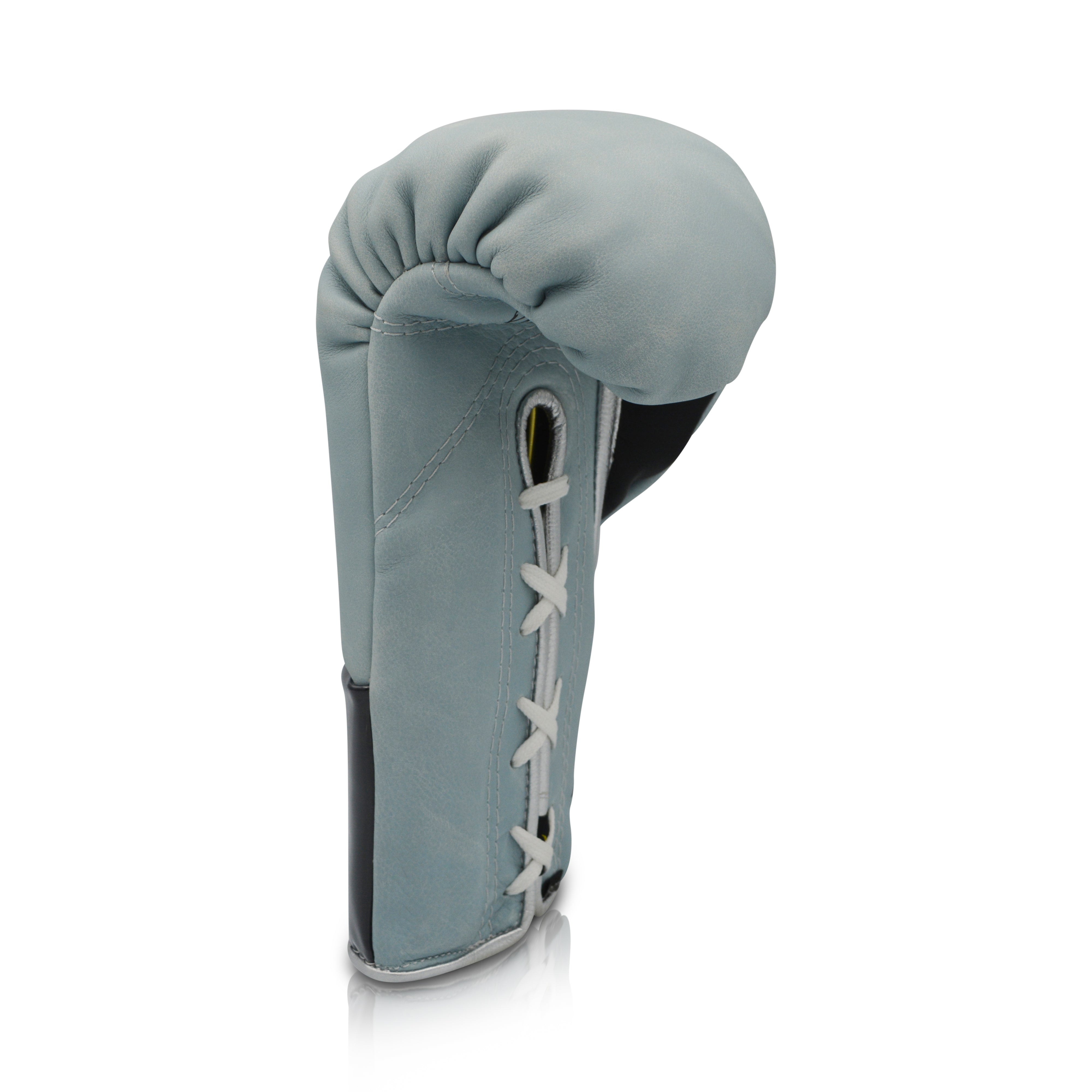 Ares Speciale Boxing Glove