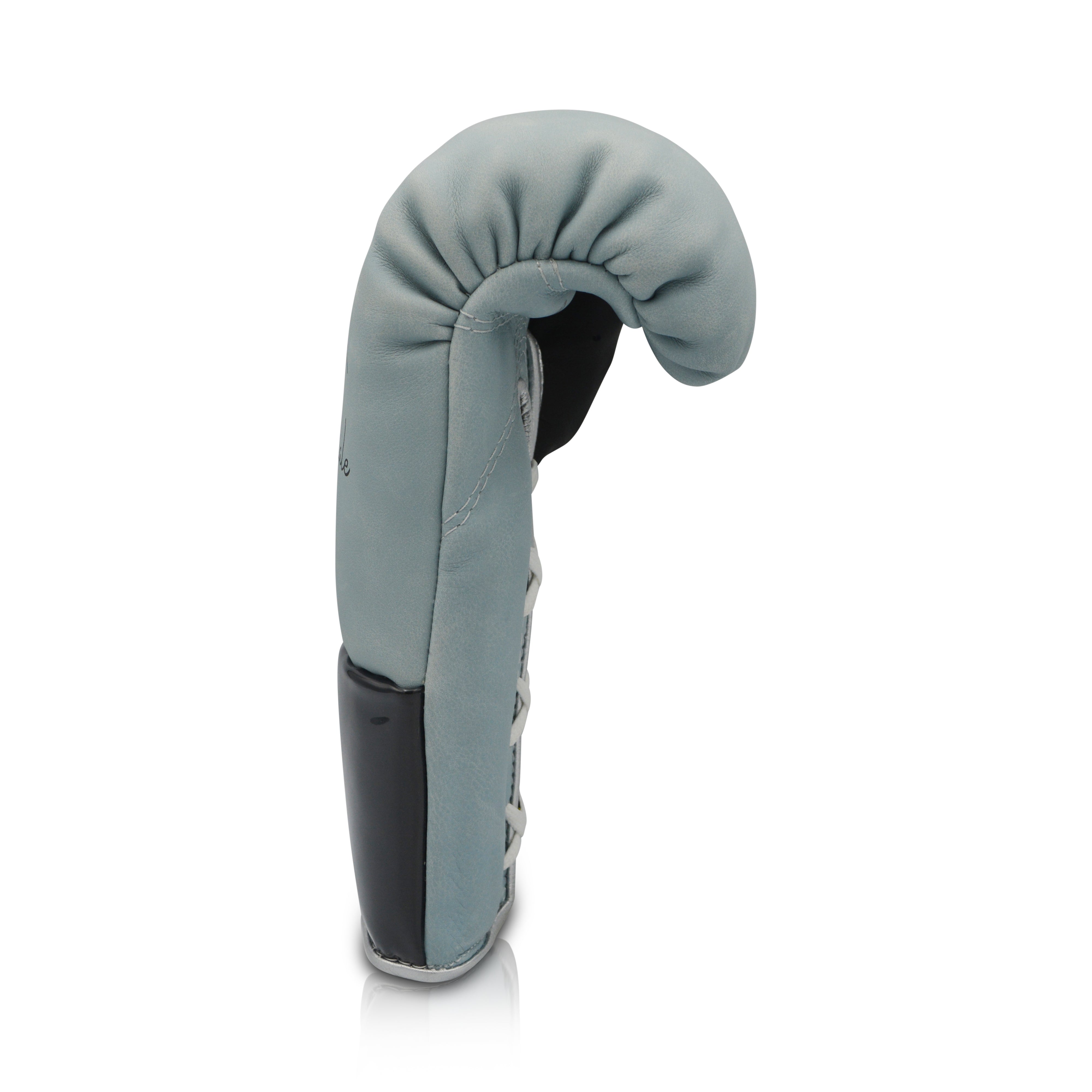 Ares Speciale Boxing Glove