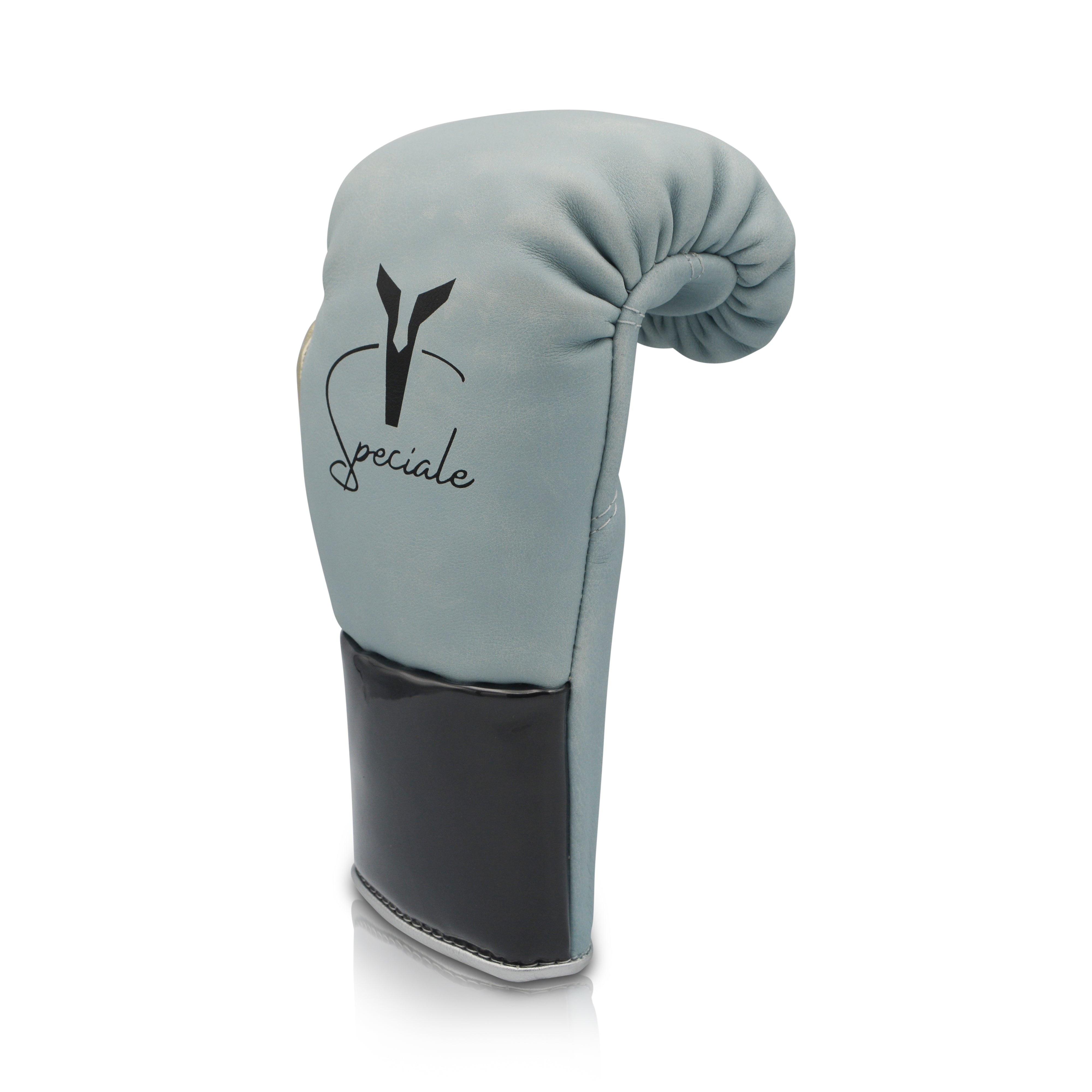 Ares Speciale Boxing Glove