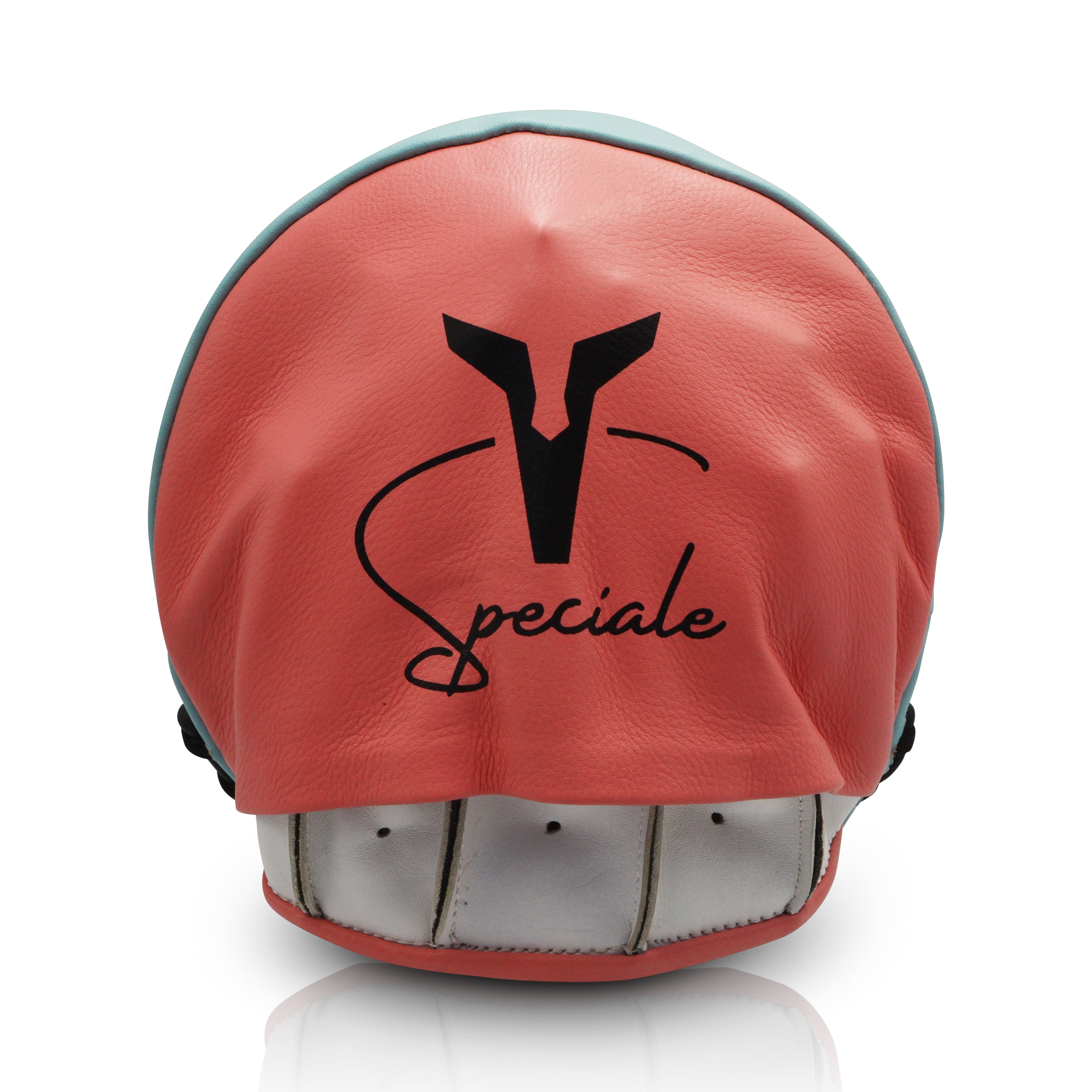 Speciale Focus Mitt